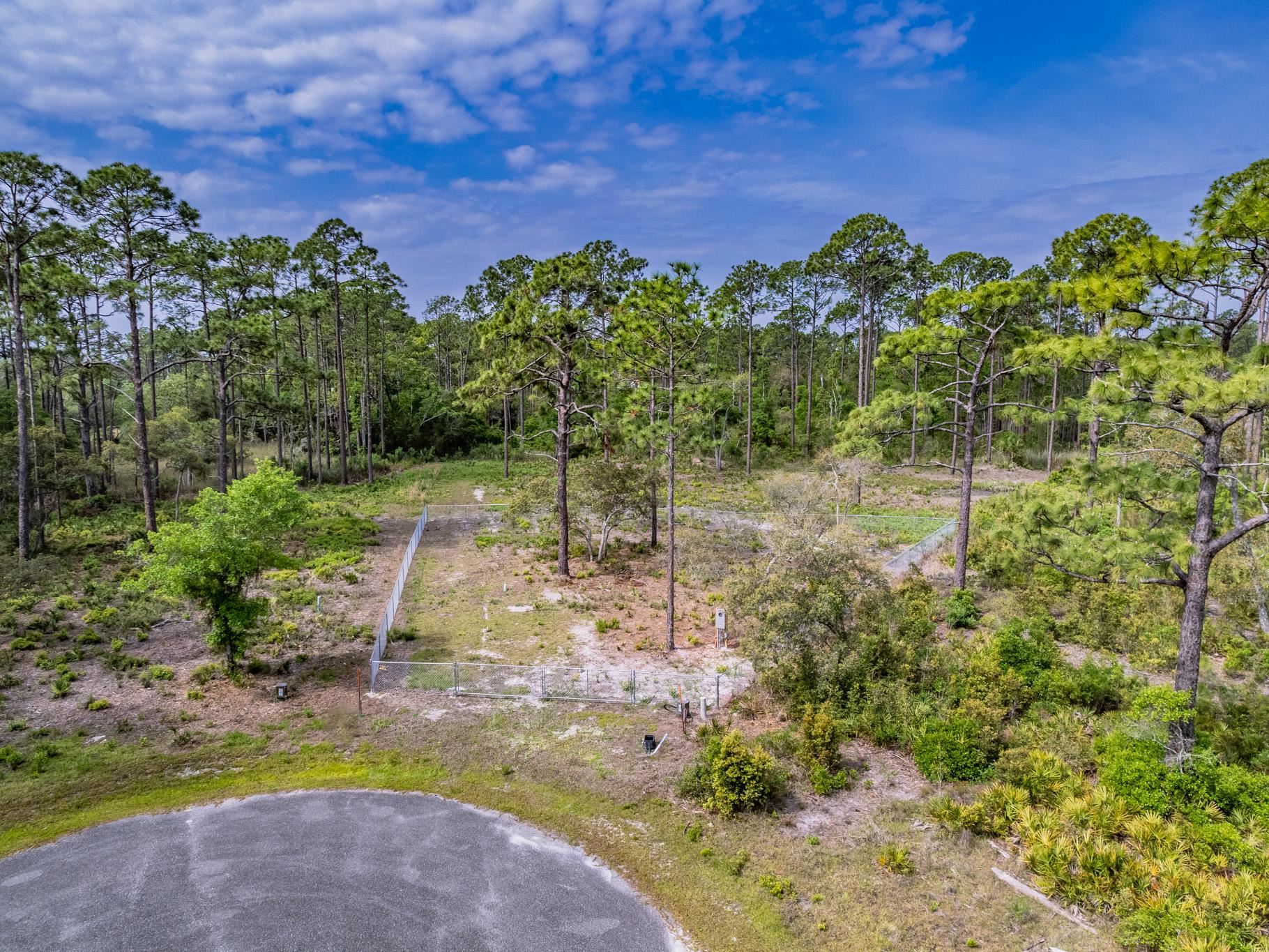 X Striffler Street Panacea, FL 32346 - Photo 25 of 32