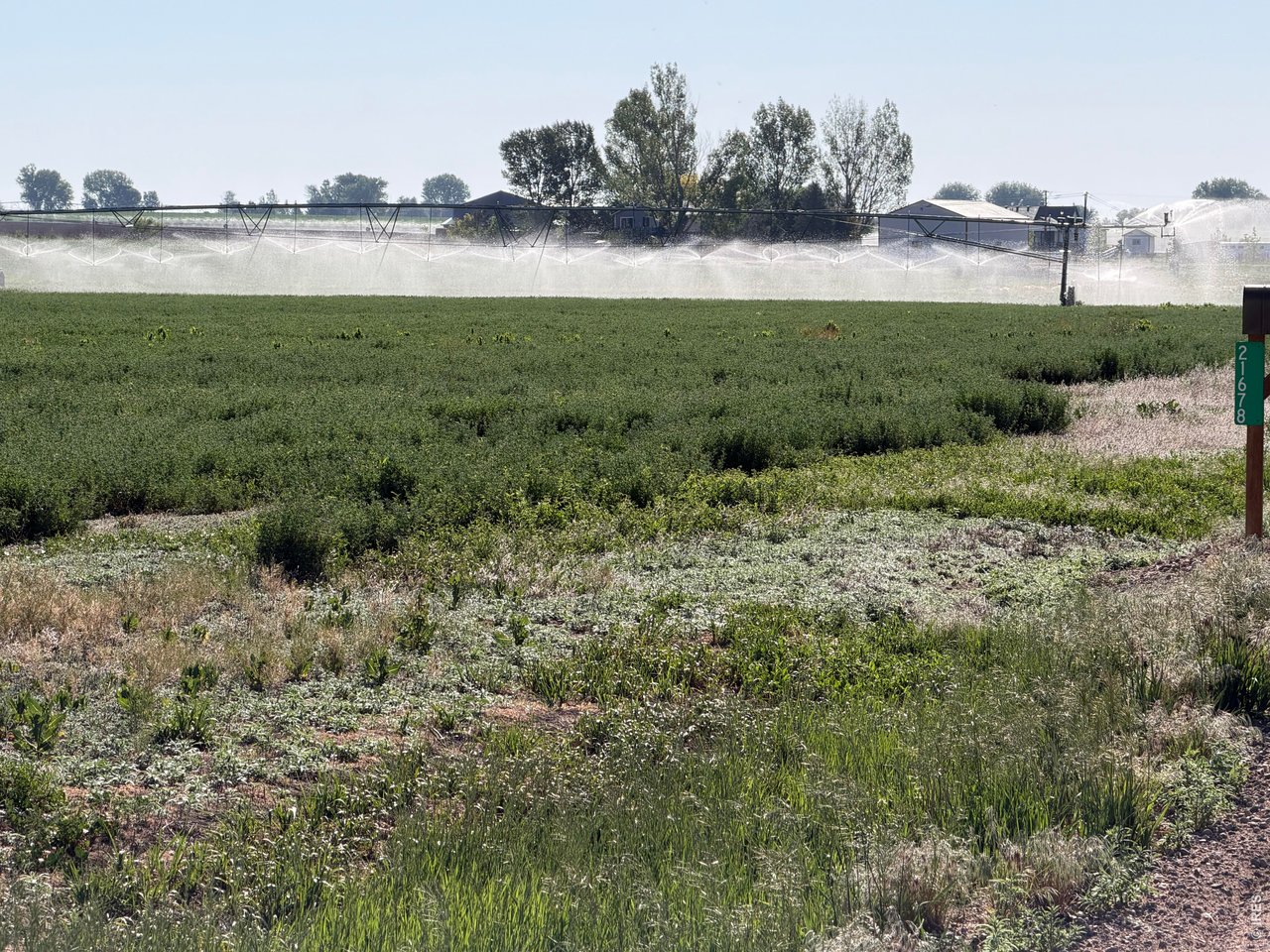 70 County Road Eaton, CO 80615 - Photo 2 of 17