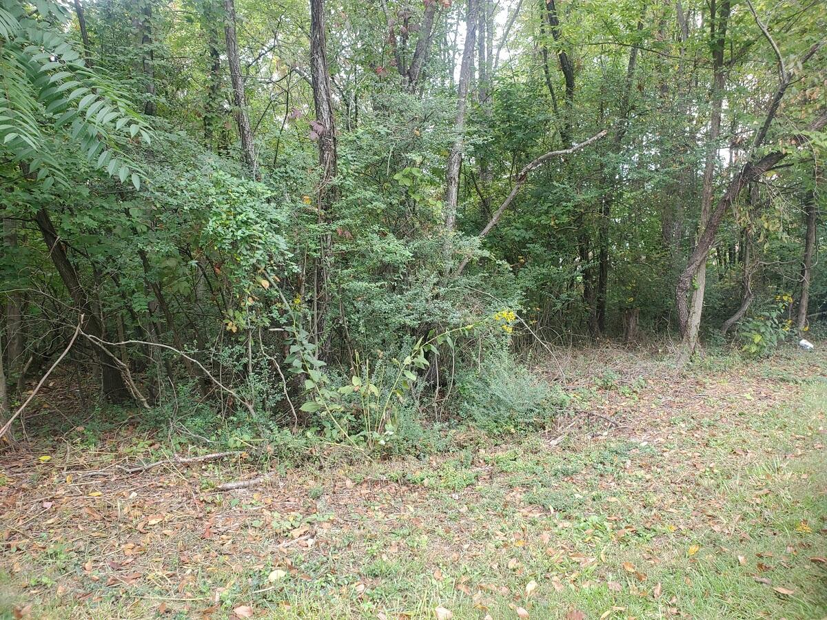 0 Thompson Memorial Dr  