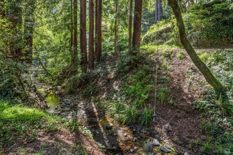 $2,195,000 | 334 West Blithedale Avenue, Mill Valley, CA 94941