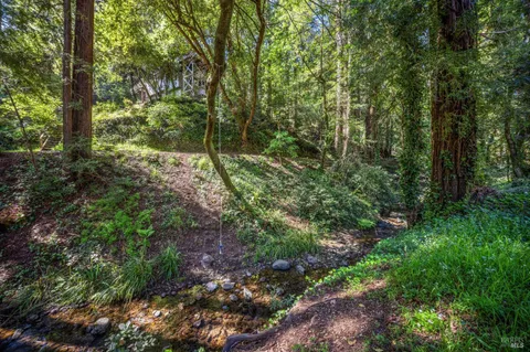 $2,195,000 | 334 West Blithedale Avenue, Mill Valley, CA 94941
