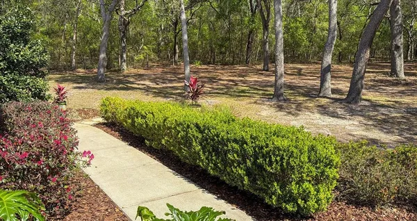 $479,900 | 103 Deep Lake Trail, Melrose, FL 32666