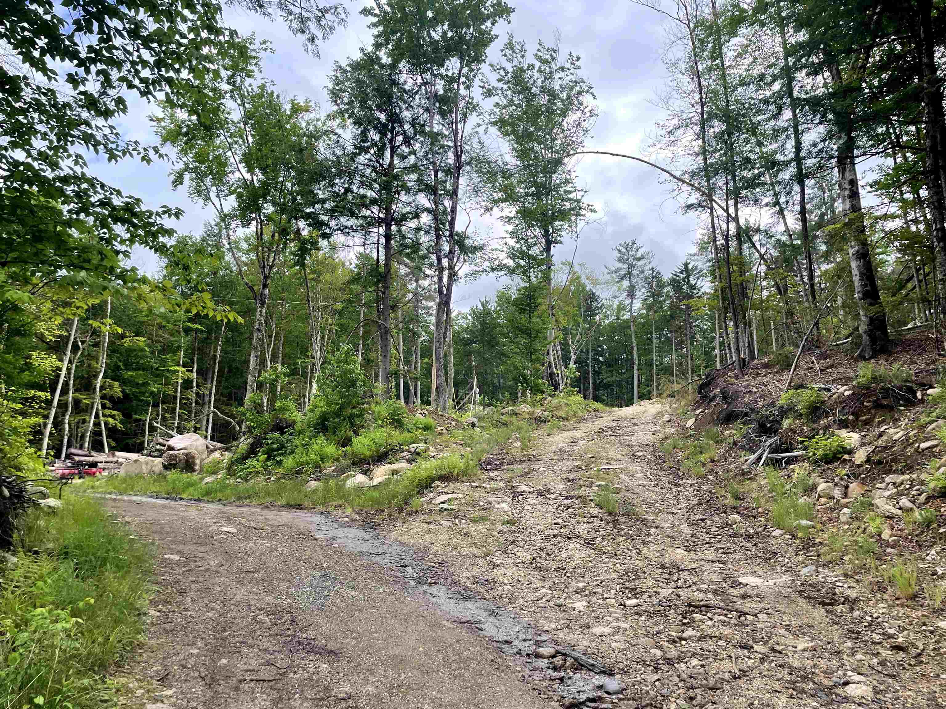 40 Hominy Pot Road New London, NH 03257 - Photo 3 of 10