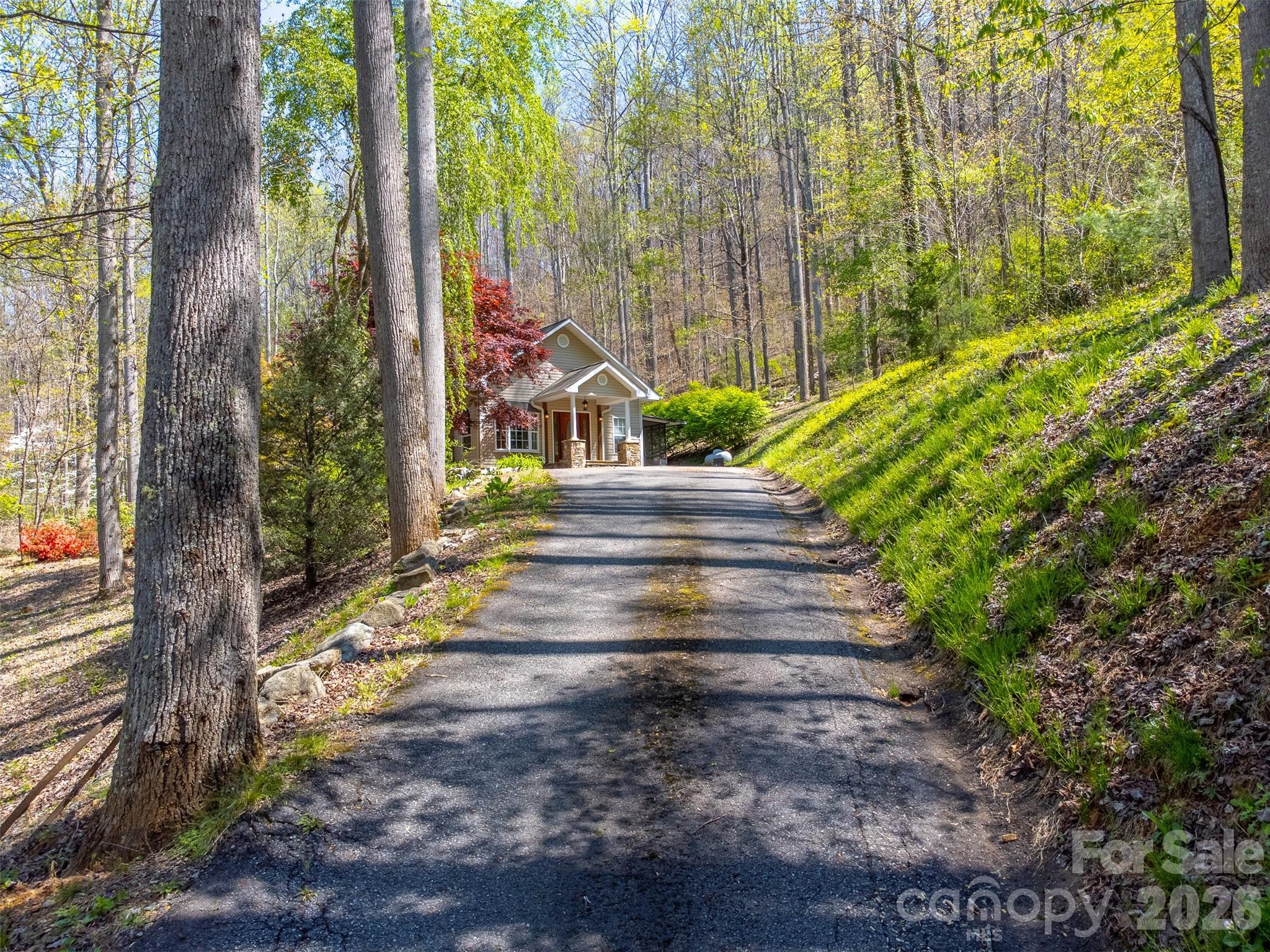 605 Toy Cv Road Sylva, NC 28779 - Photo 2 of 48