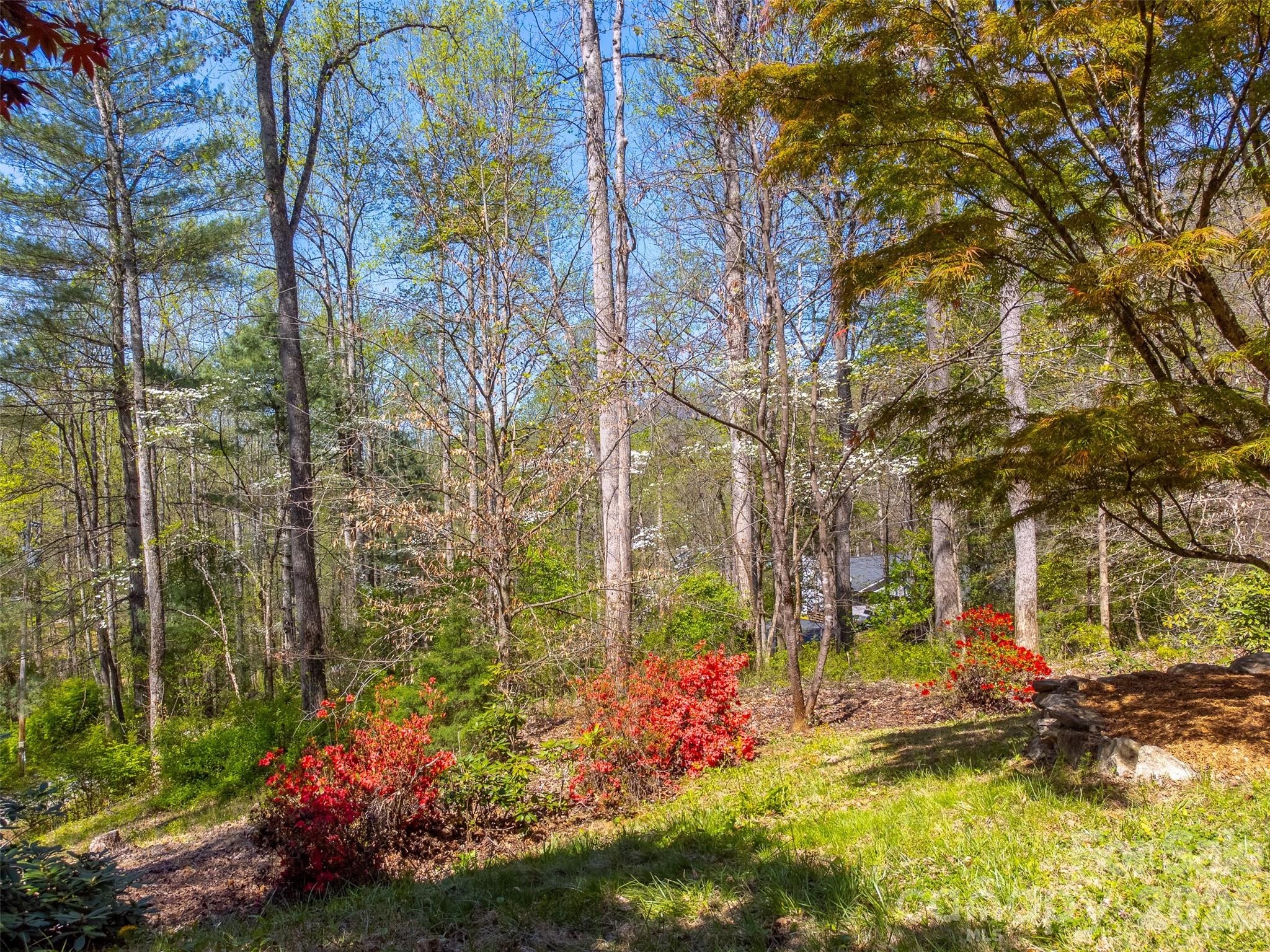 605 Toy Cv Road Sylva, NC 28779 - Photo 48 of 48