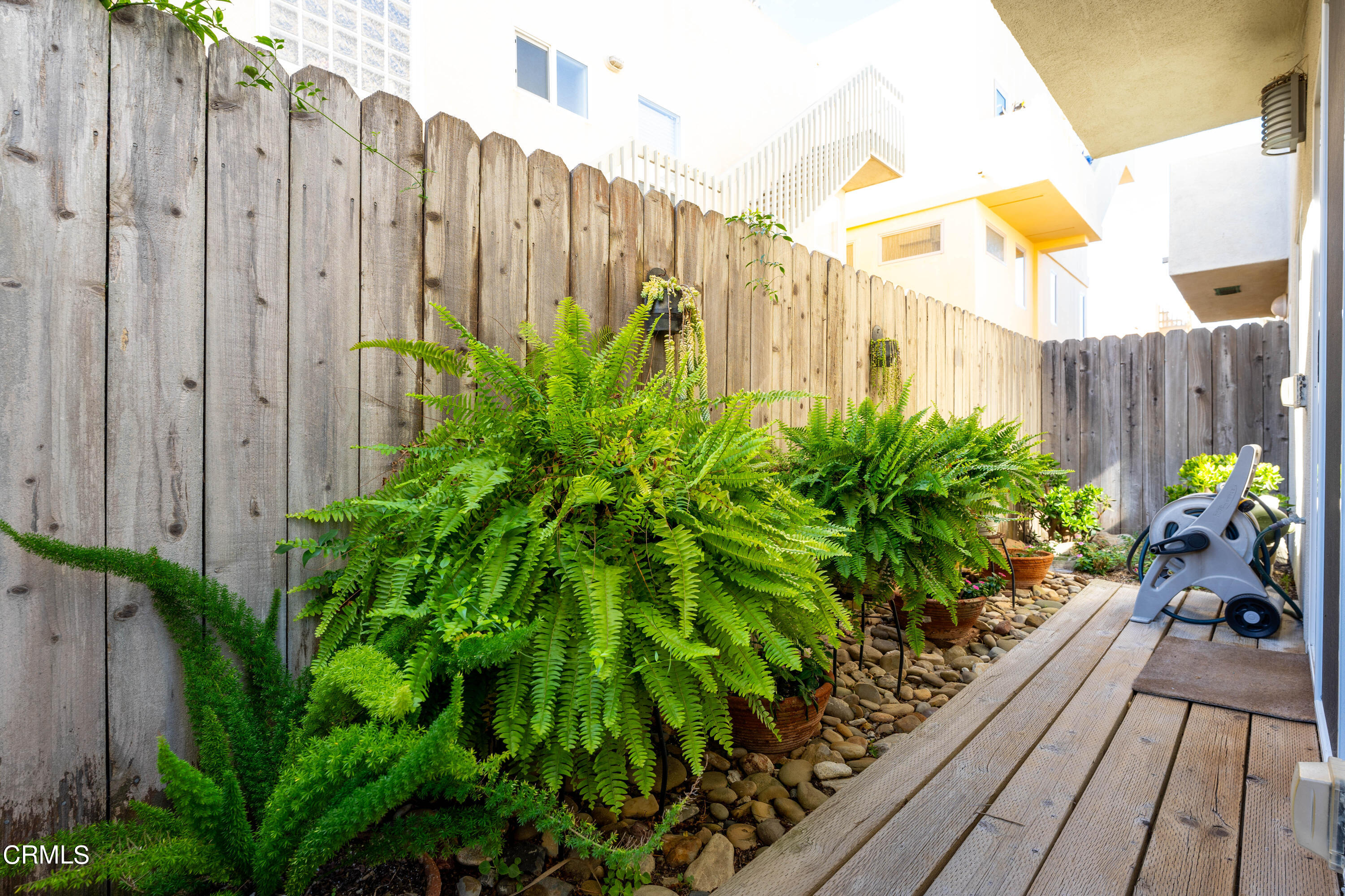 3545 Sunset Lane Oxnard, CA 93035 - Photo 33 of 41 a view of a backyard with potted plants