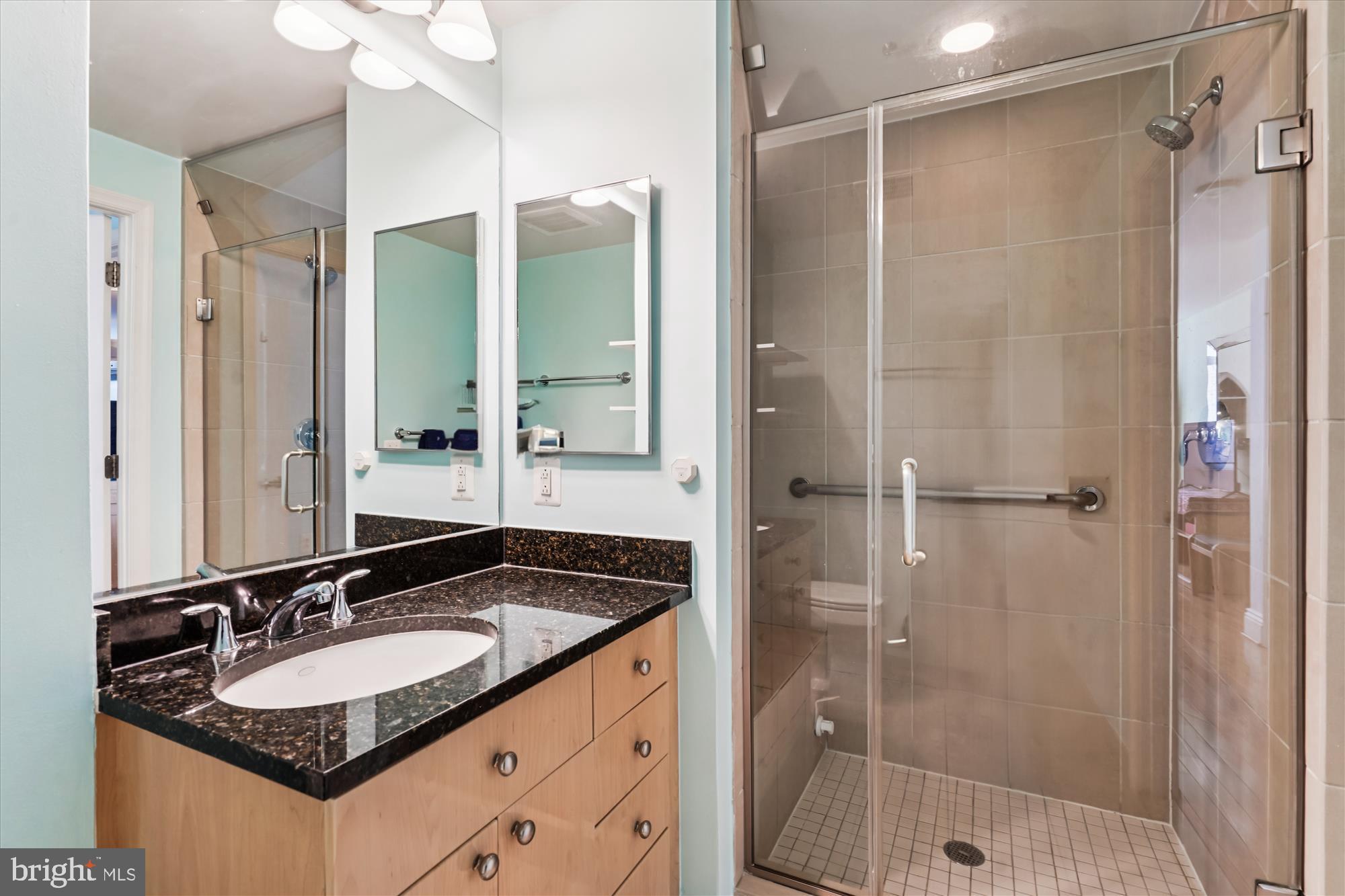 11990 Market Street, Unit 1202 Reston, VA 20190 - Photo 34 of 70 Primary Bath II, Ensuite Steam Shower