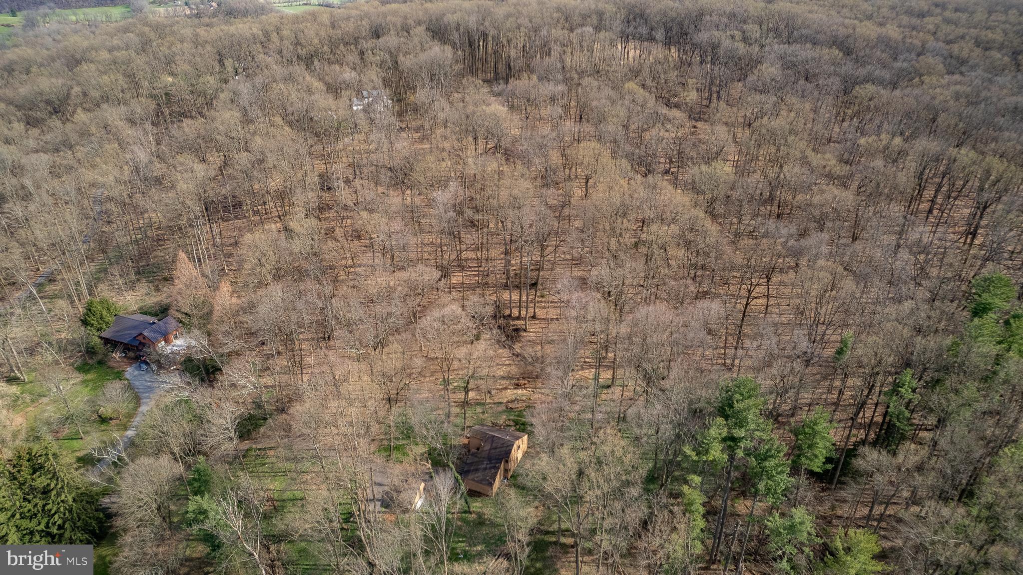 1749 Pickering Road Phoenixville, PA 19460 - Photo 21 of 28 Aerial of wooded expanse - property in forefront