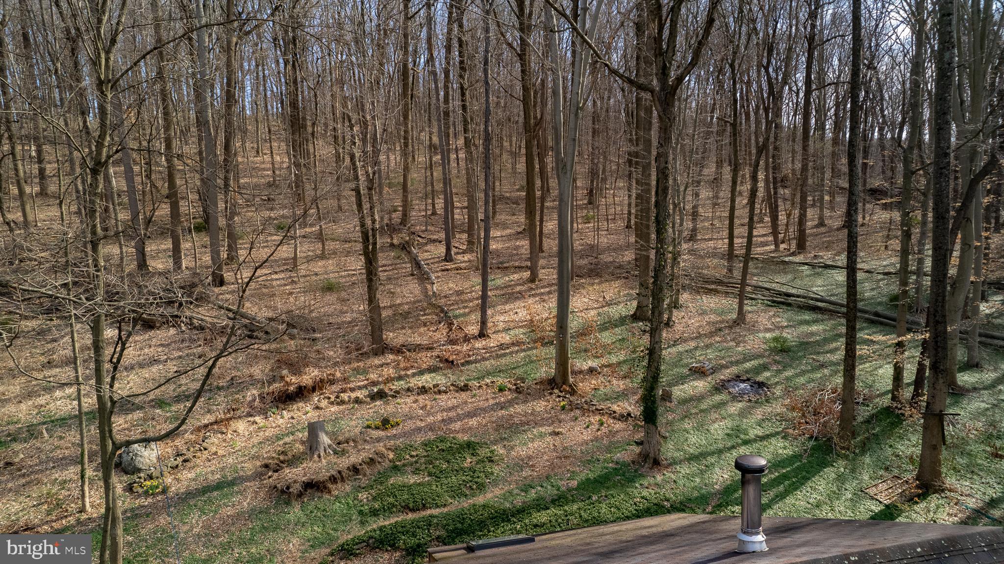 1749 Pickering Road Phoenixville, PA 19460 - Photo 27 of 28 Your sylvan oasis - firepit on right