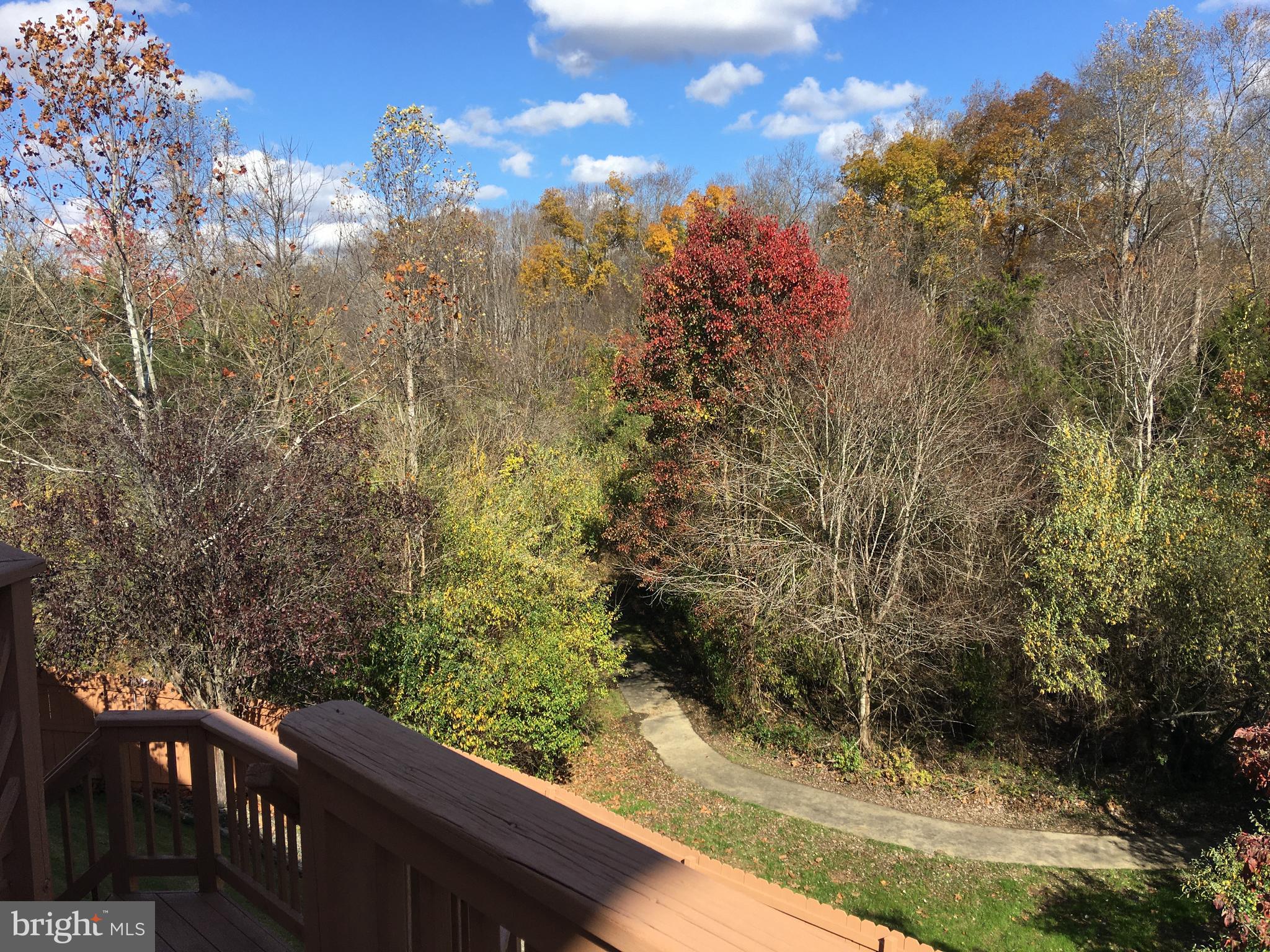 28 Ripley Road Stafford, VA 22556 - Photo 28 of 29 Peaceful view for all your crew.