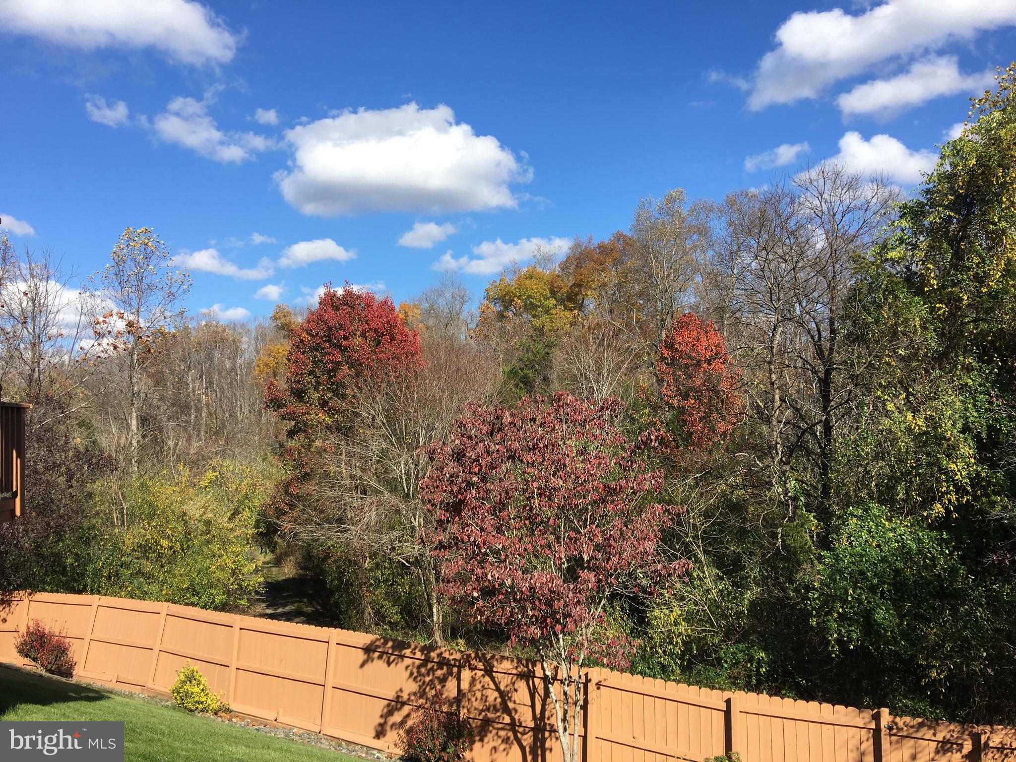 28 Ripley Road Stafford, VA 22556 - Photo 29 of 29 Wooded, Fenced and ready to Go!