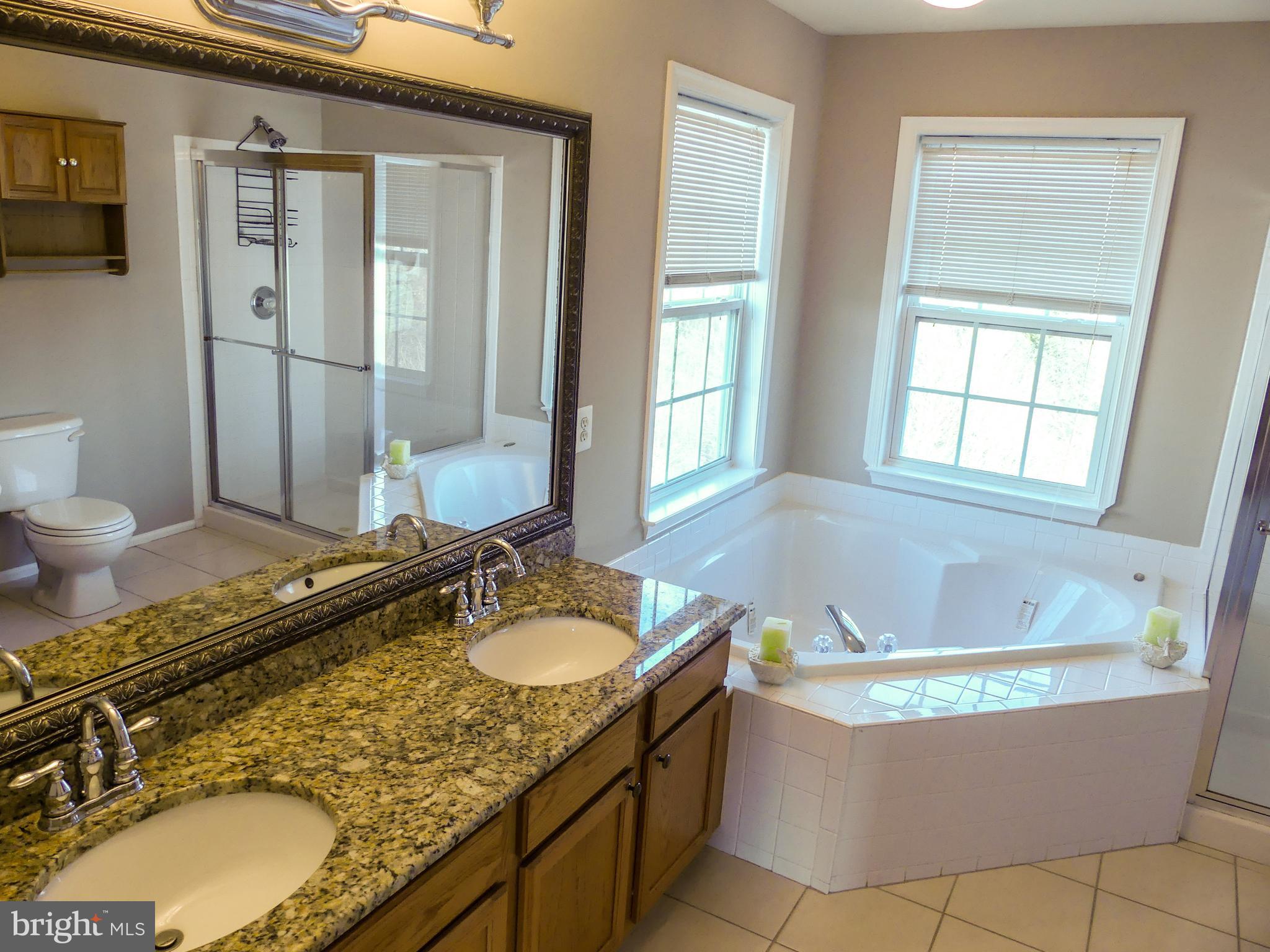 28 Ripley Road Stafford, VA 22556 - Photo 10 of 29 Granite in Owner's with large corner tub.