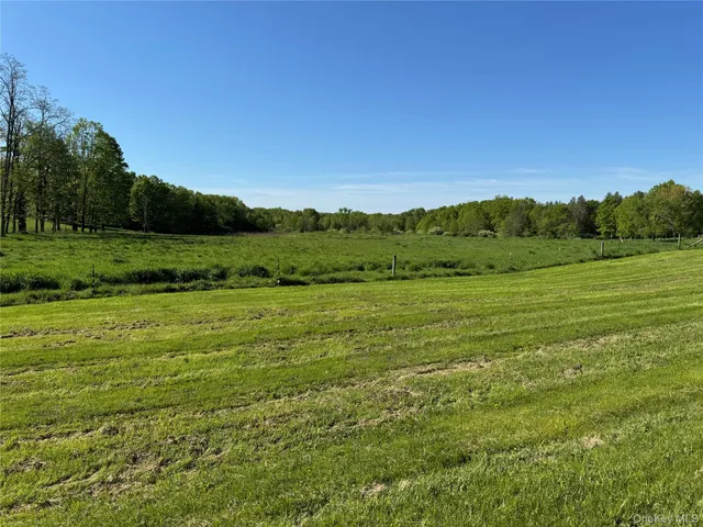 a view of an outdoor space and a yard