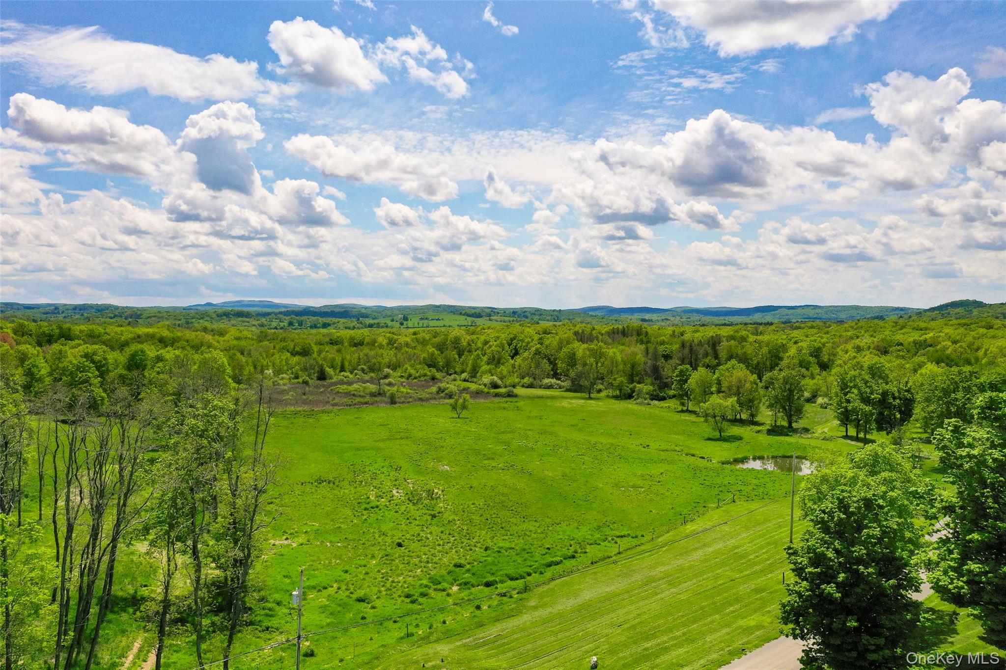 521 Woodstock Road Millbrook, NY 12545 - Photo 5 of 9 a view of an outdoor space and a yard