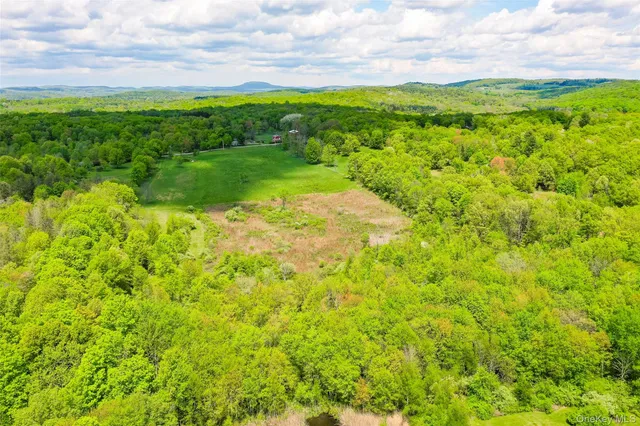 a view of a lush green space with sea