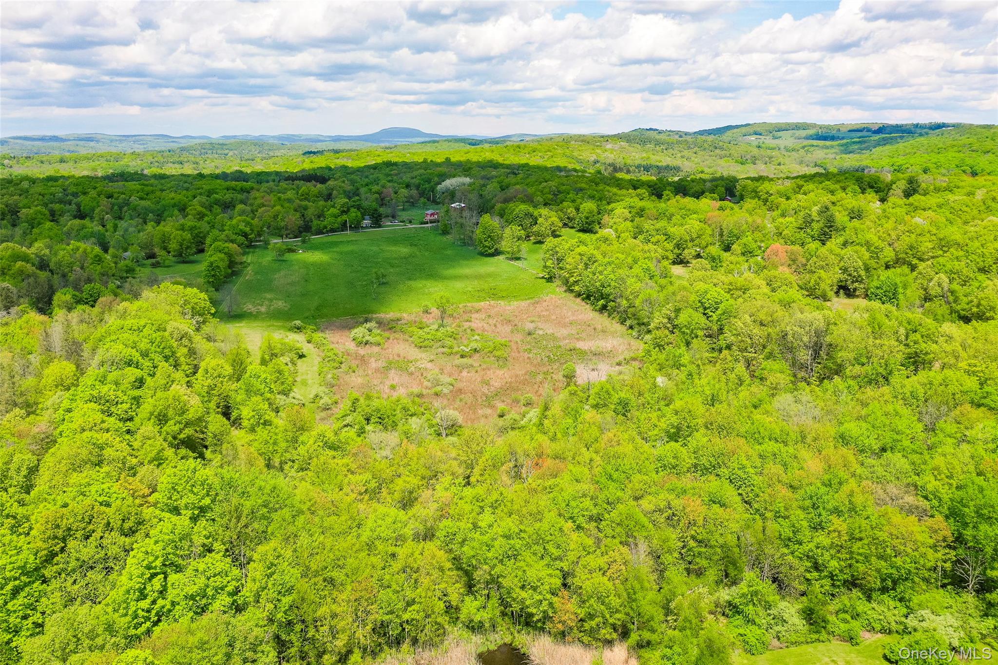 521 Woodstock Road Millbrook, NY 12545 - Photo 7 of 9 a view of a lush green space with sea