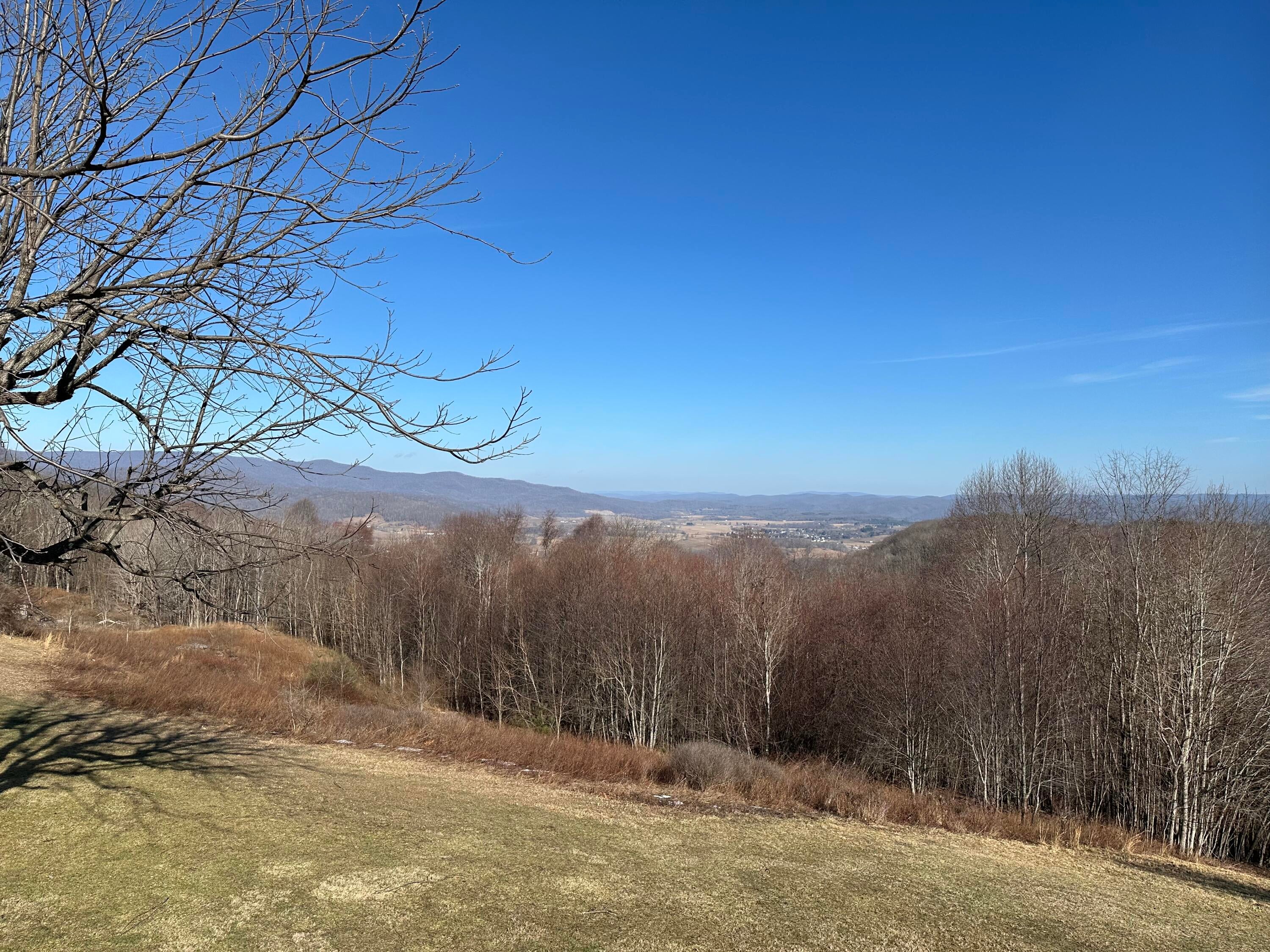1399 Russell Scott Road Hillsboro, WV 24946 - Photo 5 of 92 Gallery Image 5