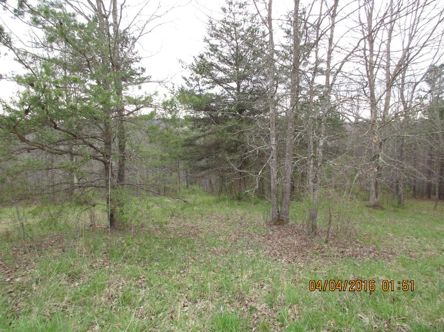 9999 Harris Road McKee, KY 40447 - Photo 32 of 48 Photo 32