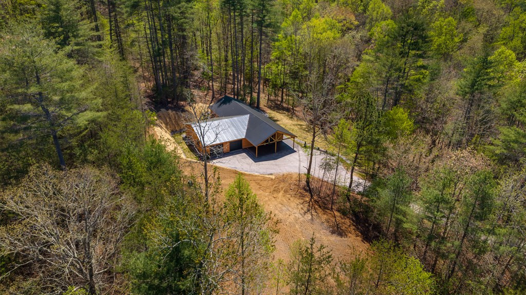 342 Hunter Ridge Murphy, NC 28906 - Photo 3 of 81 Aerial view of 342 Hunter Ridge