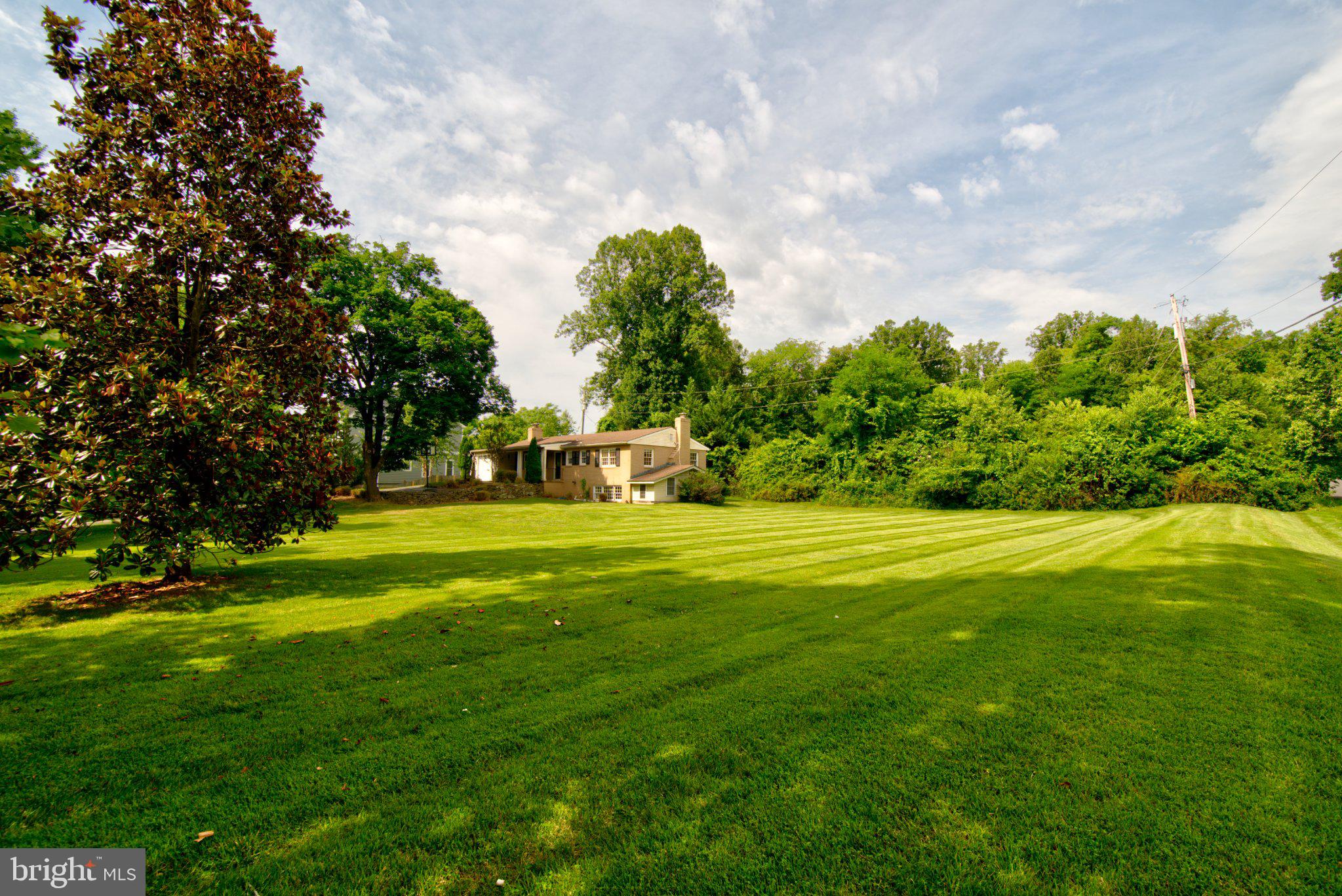 900 Walker Road Great Falls, VA 22066 - Photo 3 of 52 Spacious lawn with serene backdrop.