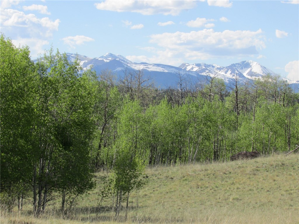 55 Mallard Road Como, CO 80432 - Photo 1 of 12 Gallery Image 1