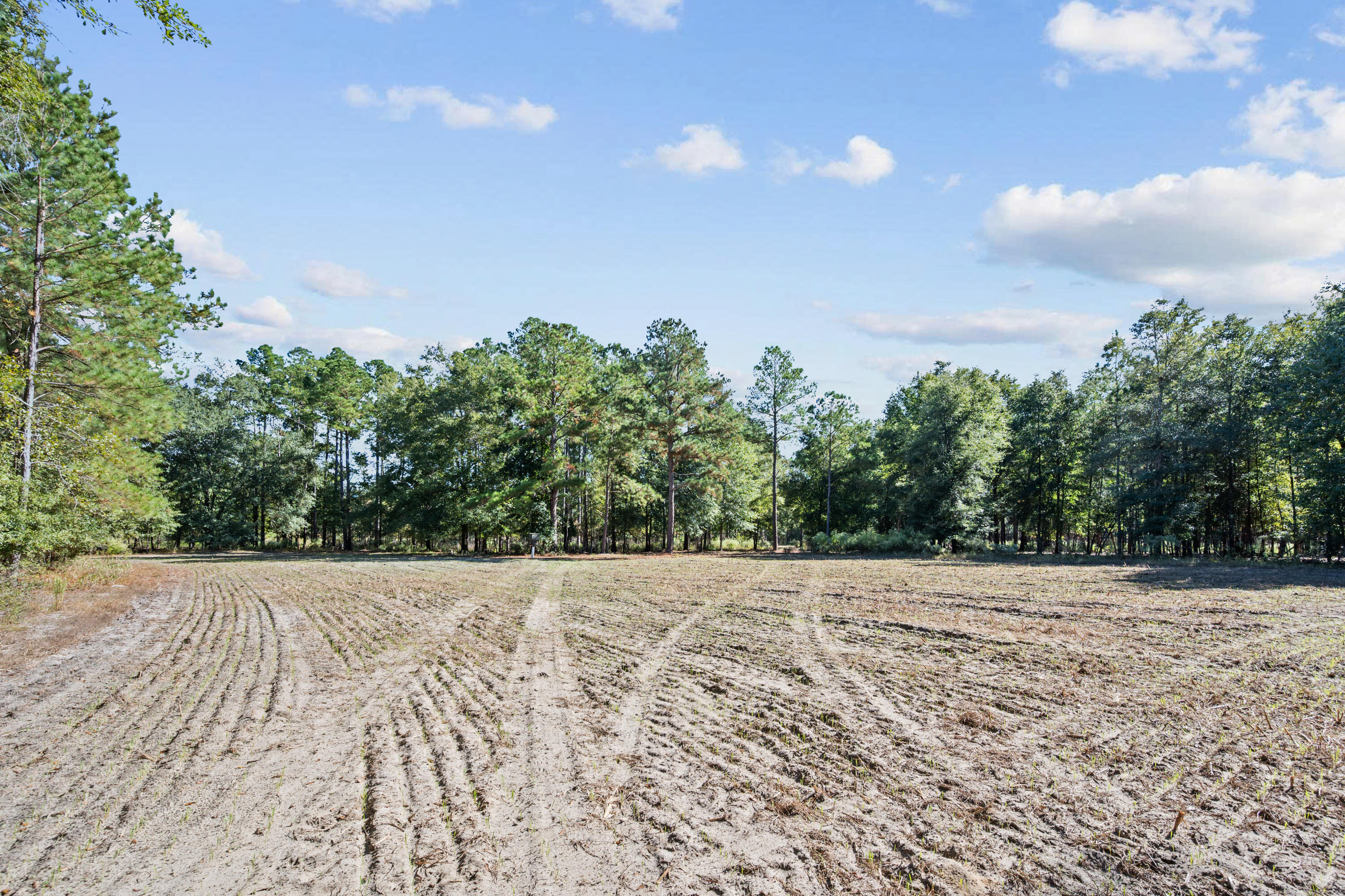 7901 State Rd S-6-169 Blackville, SC 29817 - Photo 69 of 89