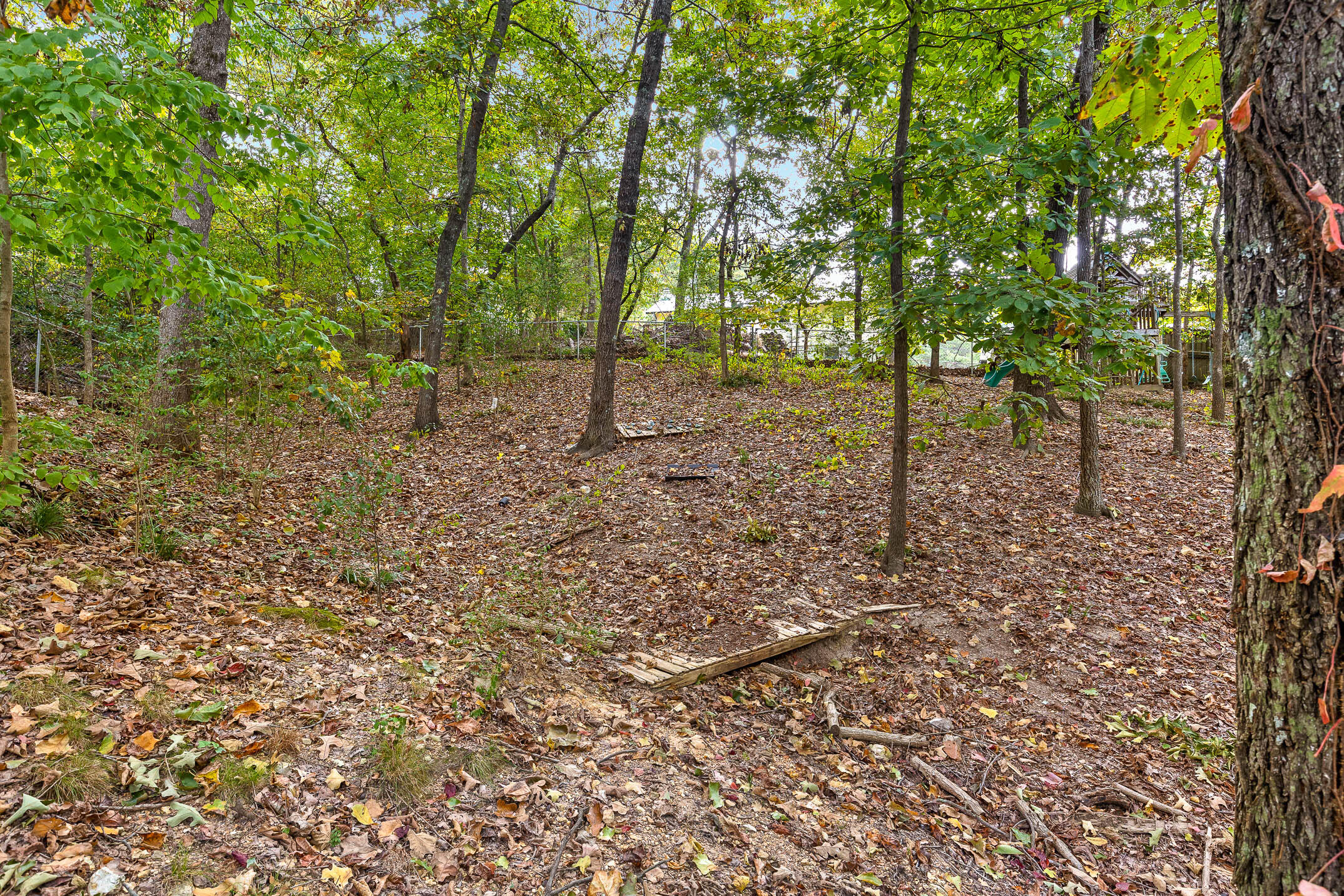 8806 Hidden Branches Road Harrison, TN 37341 - Photo 18 of 20 HiddenBranches-28