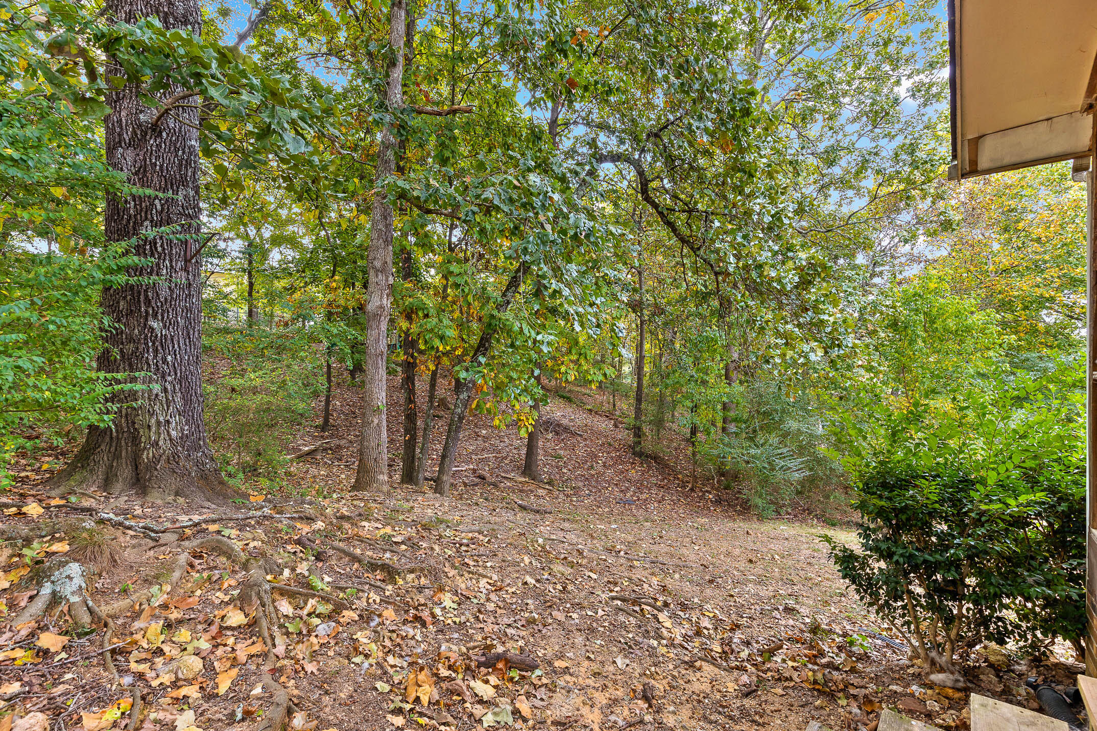 8806 Hidden Branches Road Harrison, TN 37341 - Photo 19 of 20 HiddenBranches-27