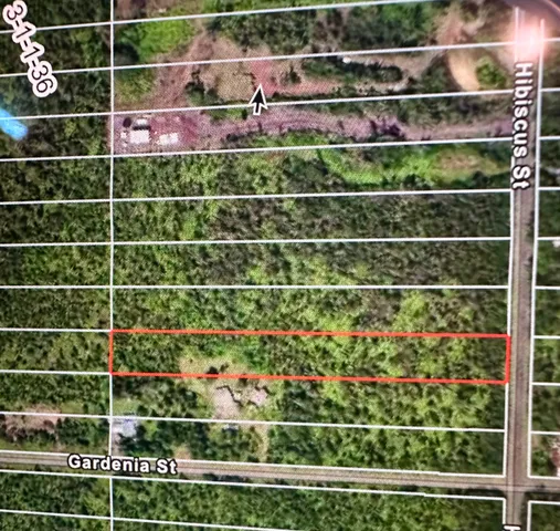 a view of a bird bath room