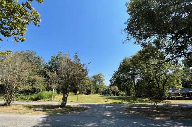 a view of a park with tree s
