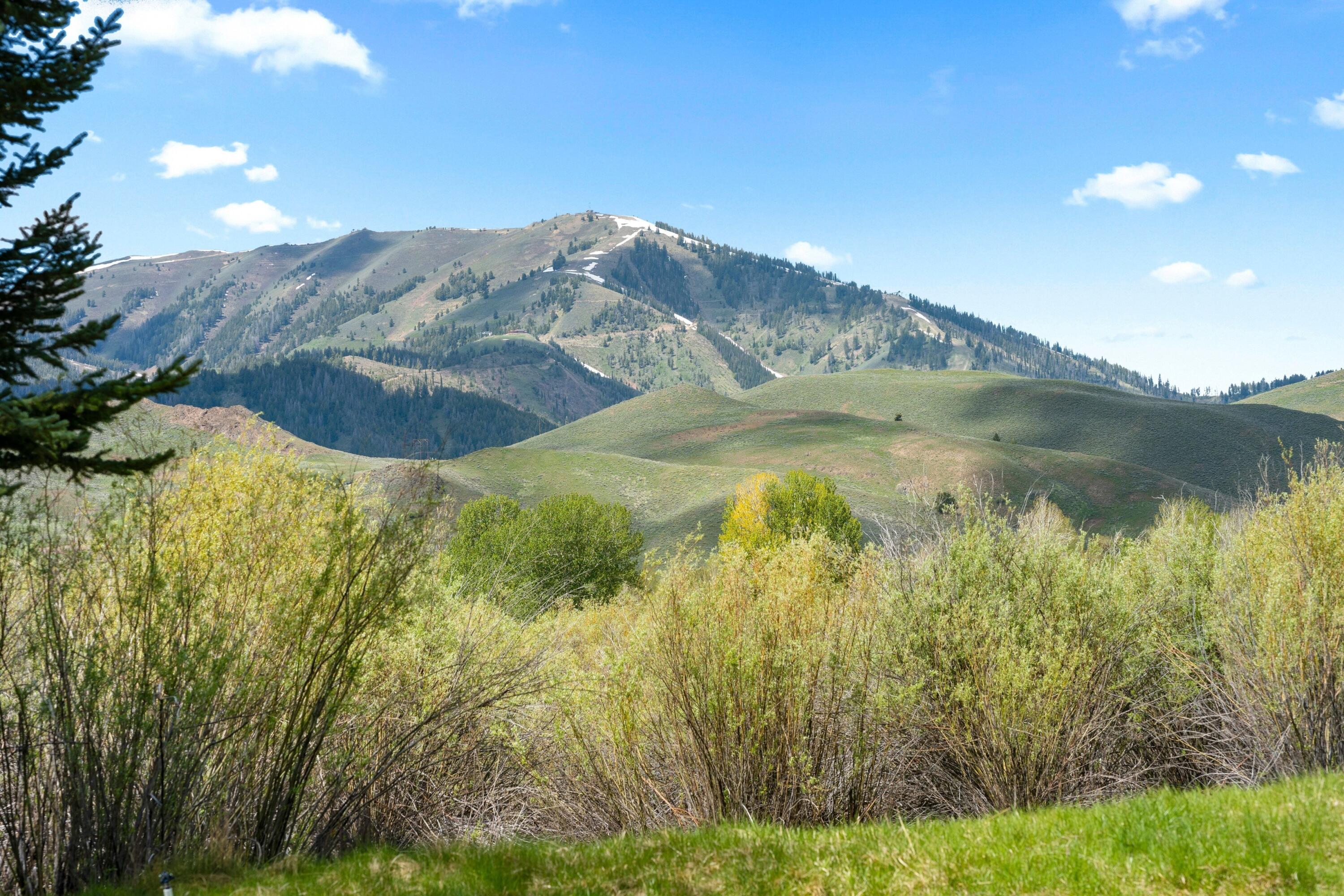702 Morning Star Road Sun Valley, ID 83353 - Photo 36 of 37 Baldy views