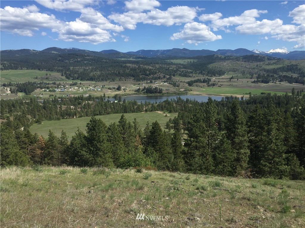 -tract B West Curlew Lake Road Republic, WA 99166 - Photo 1 of 11 Gallery Image 1