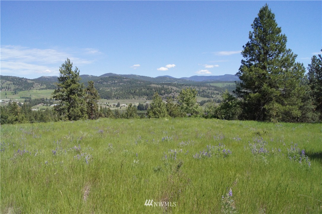 -tract B West Curlew Lake Road Republic, WA 99166 - Photo 3 of 11 Gallery Image 3