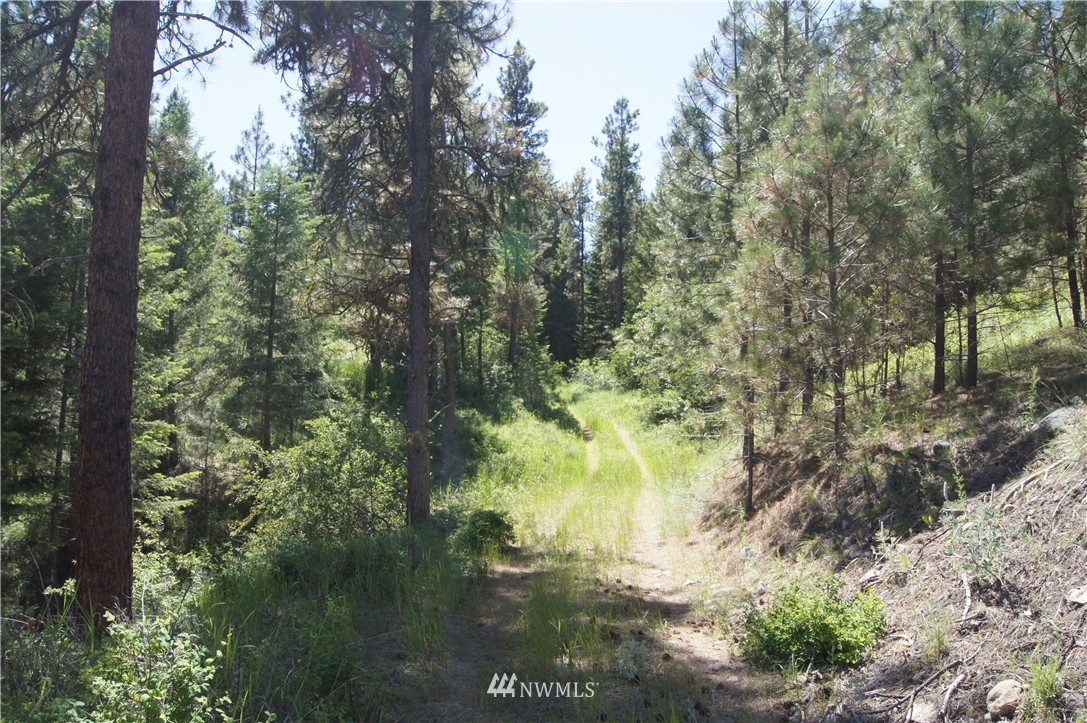 -tract B West Curlew Lake Road Republic, WA 99166 - Photo 4 of 11 Gallery Image 4