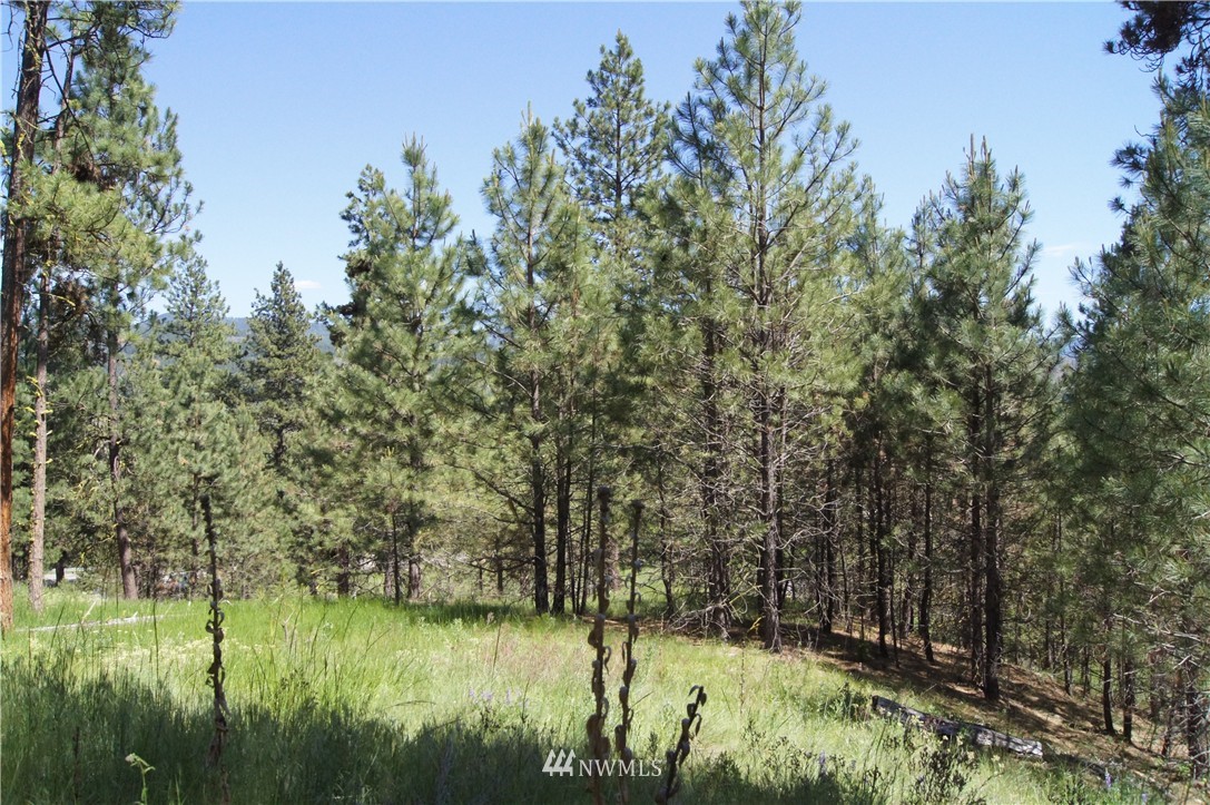 -tract B West Curlew Lake Road Republic, WA 99166 - Photo 5 of 11 Gallery Image 5