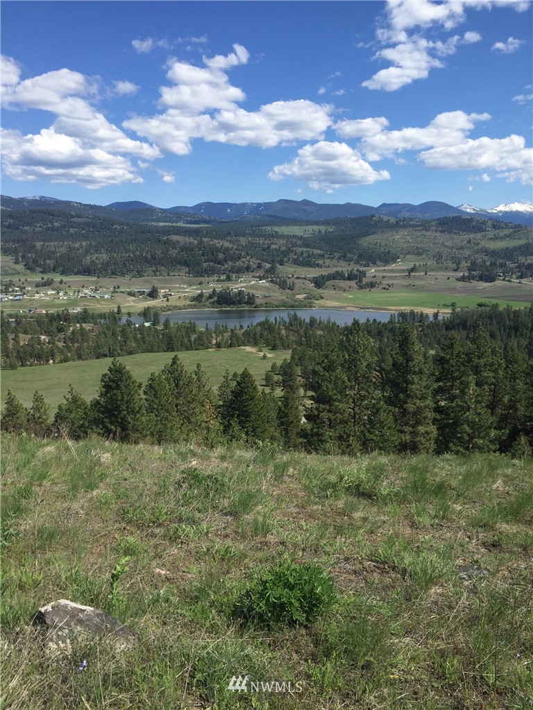 -tract B West Curlew Lake Road Republic, WA 99166 - Photo 6 of 11 Gallery Image 6