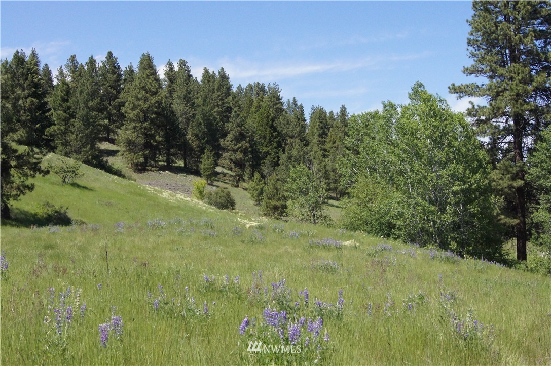 -tract B West Curlew Lake Road Republic, WA 99166 - Photo 7 of 11 Gallery Image 7