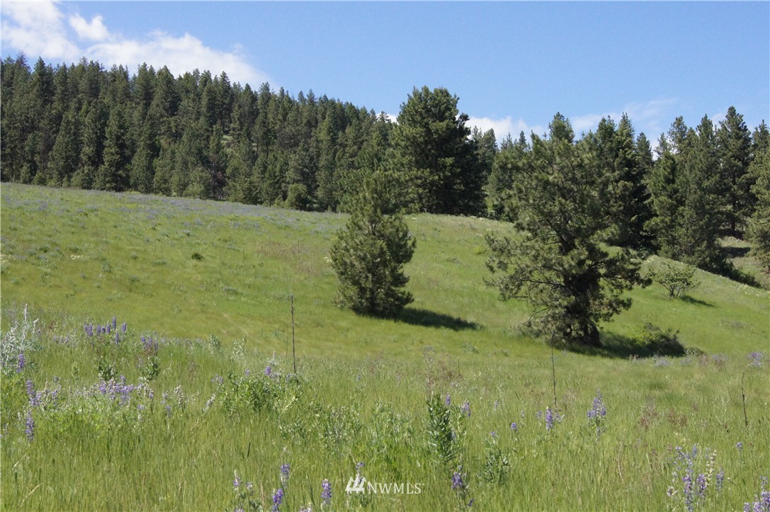 -tract B West Curlew Lake Road Republic, WA 99166 - Photo 8 of 11 Gallery Image 8