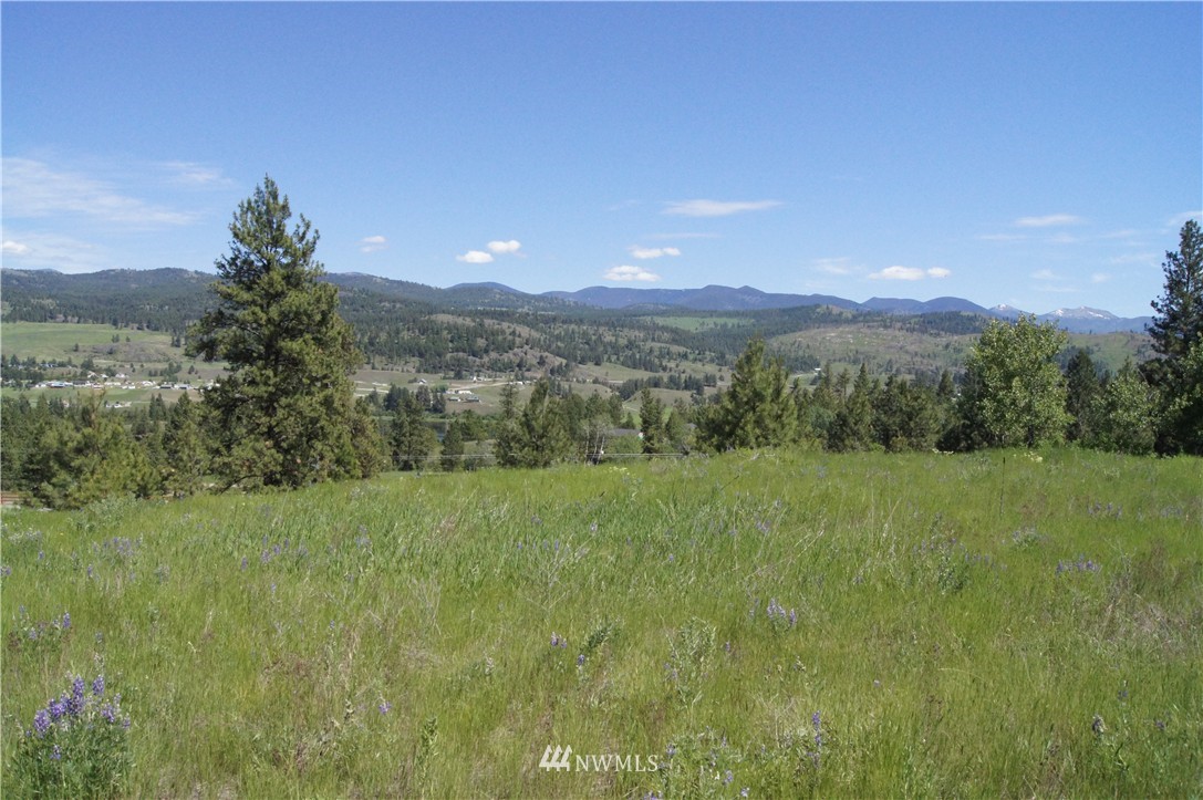 -tract B West Curlew Lake Road Republic, WA 99166 - Photo 9 of 11 Gallery Image 9
