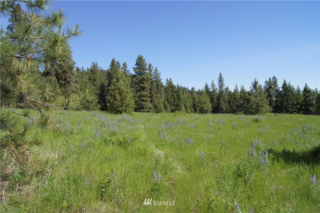 -tract B West Curlew Lake Road Republic, WA 99166 - Photo 10 of 11 Gallery Image 10