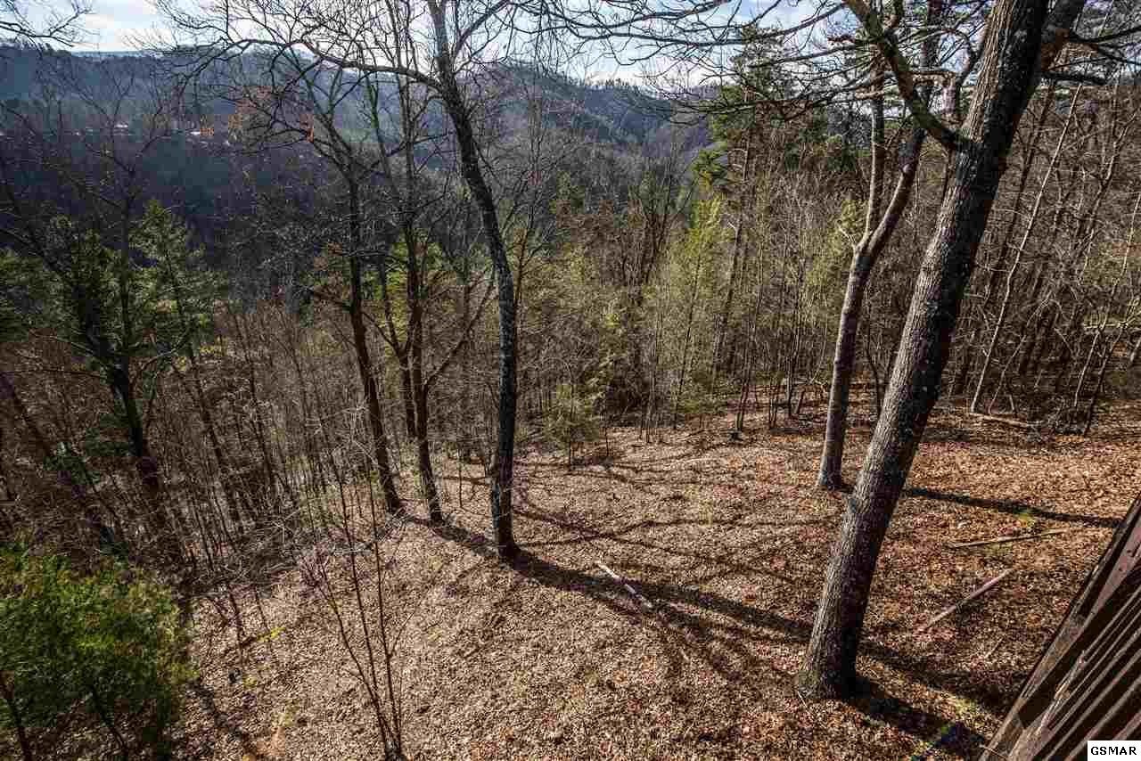 3021 Hatcher Top Road Sevierville, TN 37862 - Photo 36 of 36 Gallery Image 36