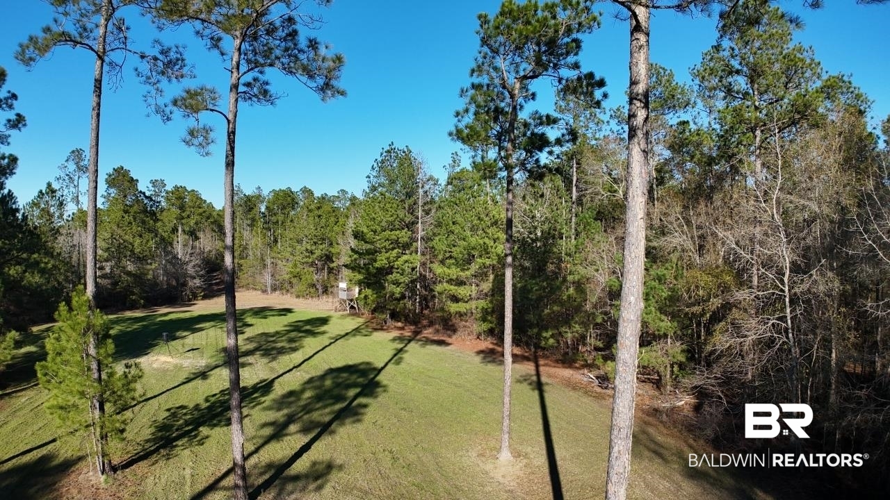 11808 Abb Road Tibbie, AL 36583 - Photo 14 of 31 Exterior space with a yard and a wooded view