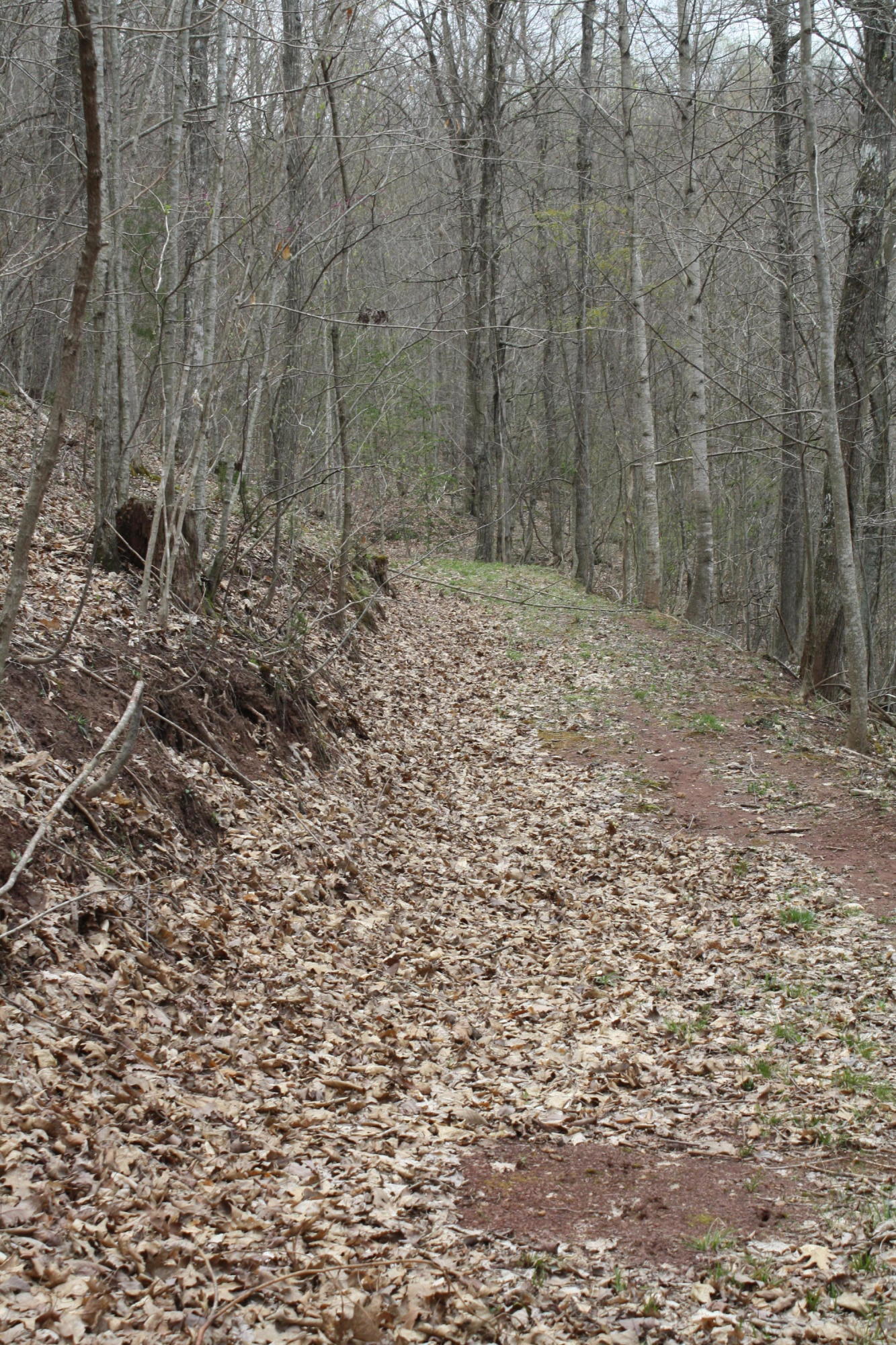 2355 Nickells Mill Road Ronceverte, WV 24970 - Photo 76 of 91 Gallery Image 76