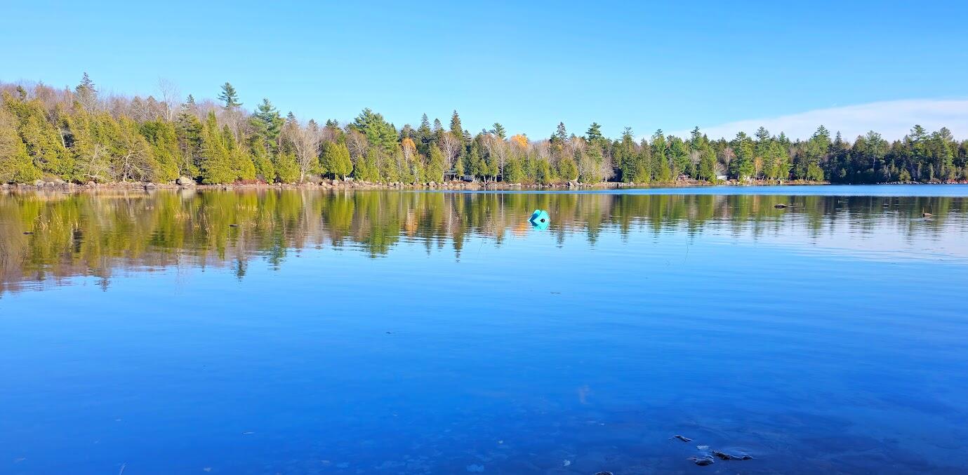 10 Wood Duck Way Millinocket, ME 04462 - Photo 6 of 43 20251028_153006-EDIT