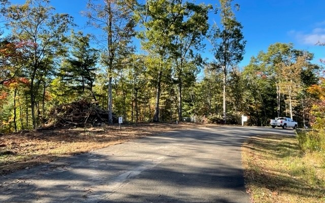35 Staurolite Mountain Road Blue Ridge, GA 30513 - Photo 5 of 11 Additional View