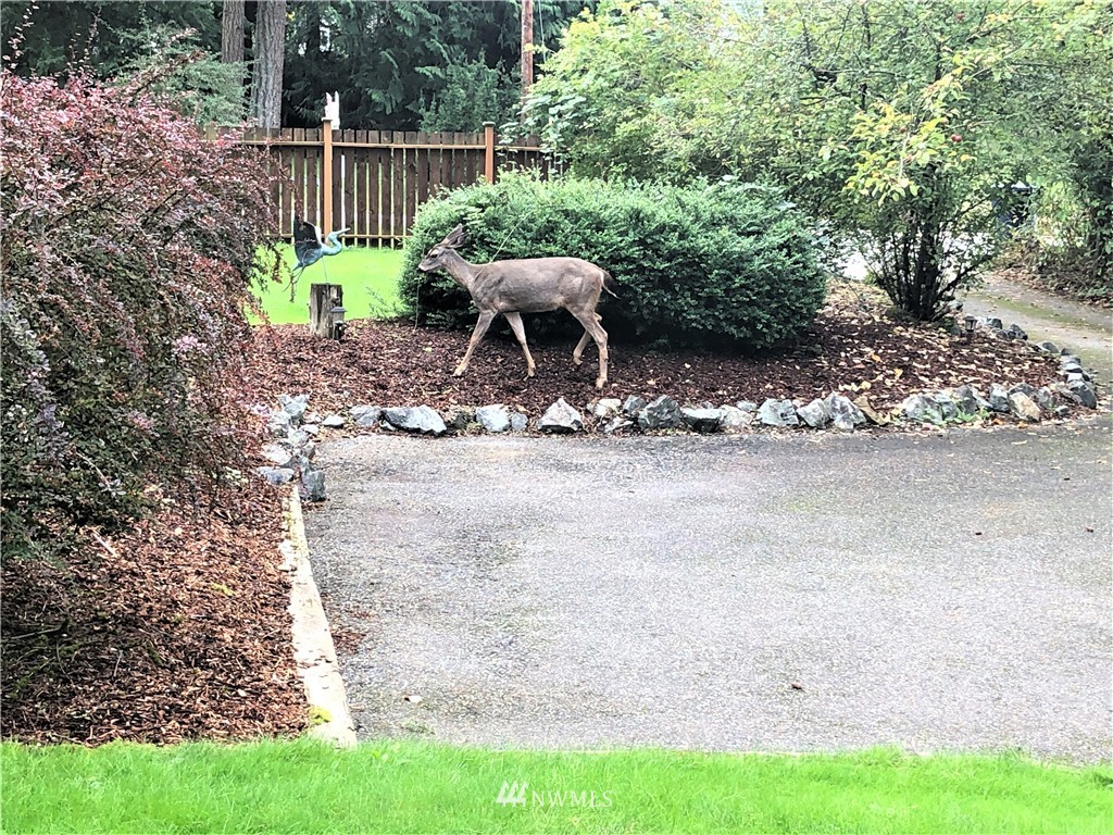 19010 Northeast Redmond Road Redmond, WA 98053 - Photo 30 of 33