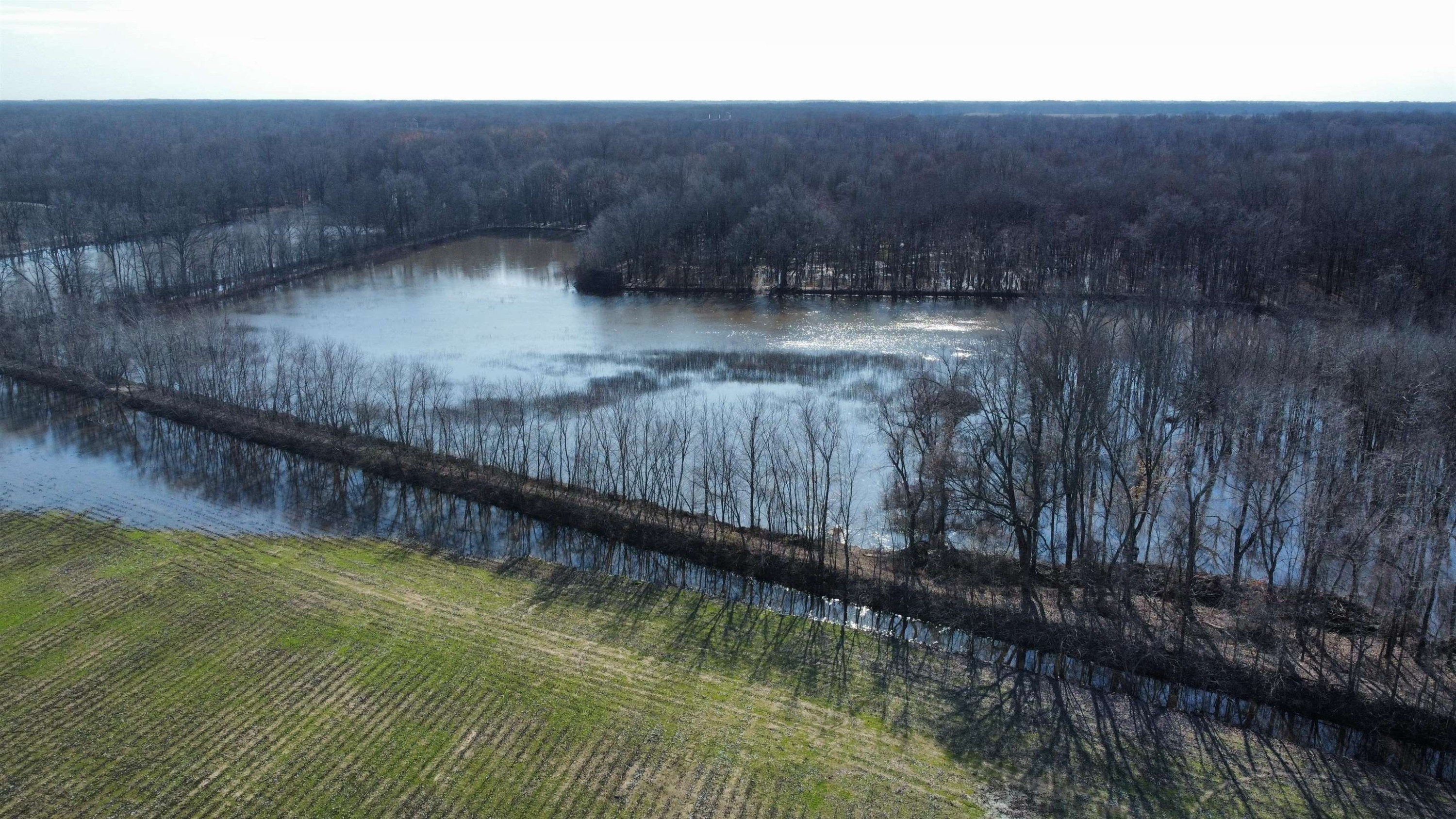 0 Johnson Grove Road Halls, TN 38040 - Photo 15 of 16 Photo 15
