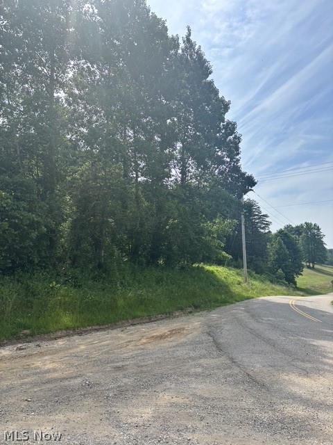 0 East Side Hayman Road Long Bottom, OH 45743 - Photo 11 of 14