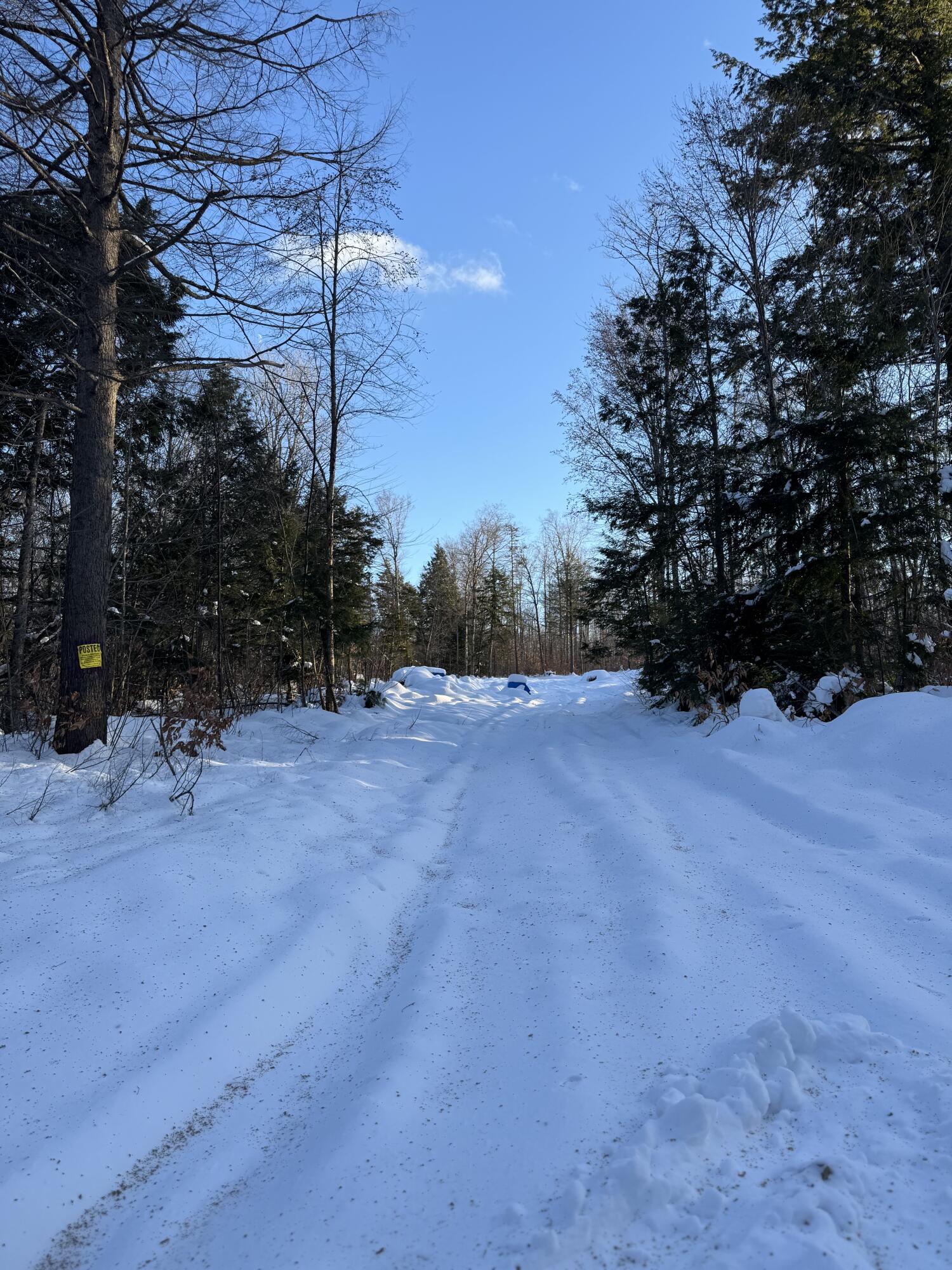 Map7-lot7 South Shore Road Abbot, ME 04406 - Photo 17 of 28 IMG_9008