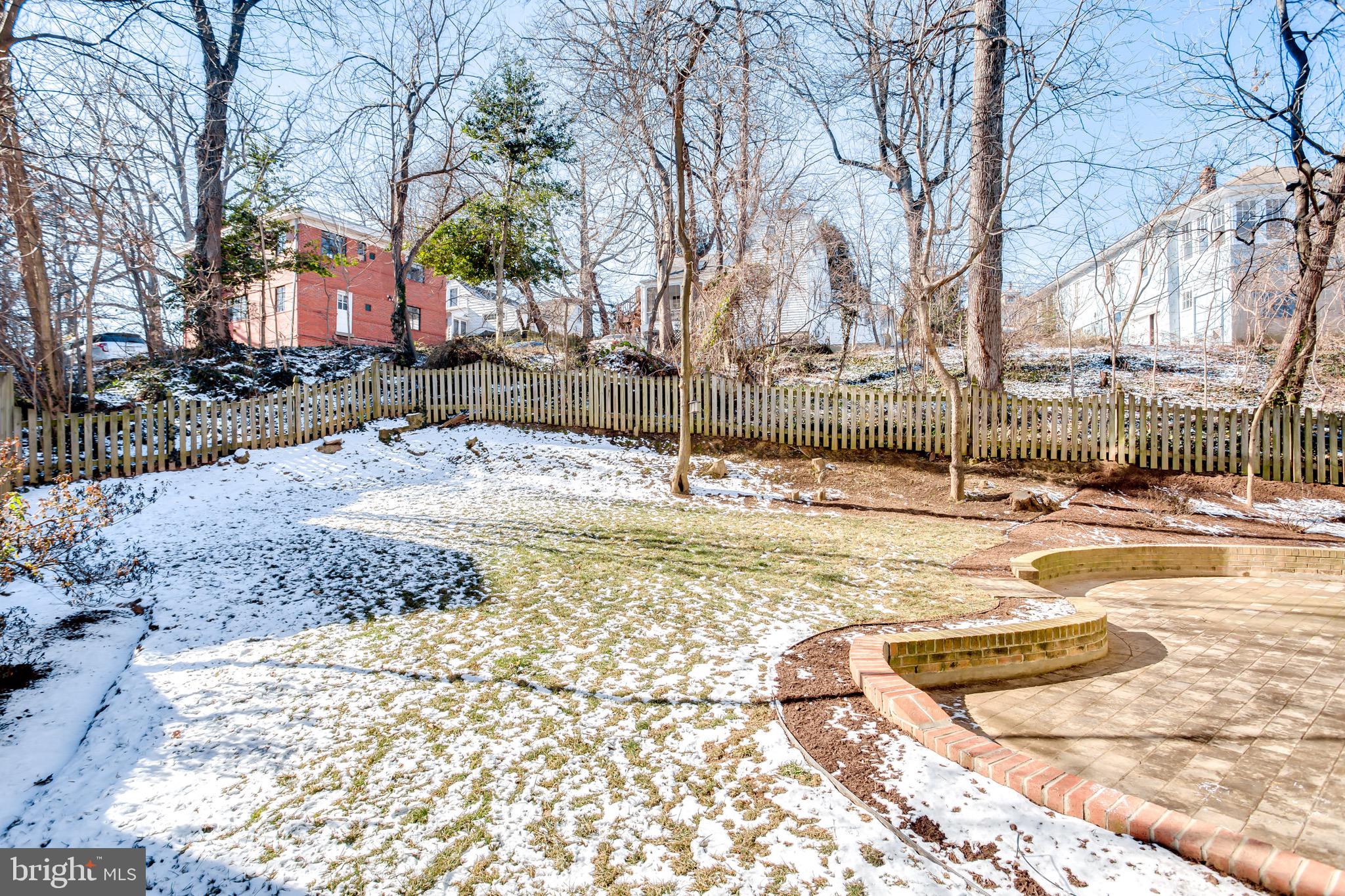 4124 21st Road North Arlington, VA 22207 - Photo 43 of 56 Backyard